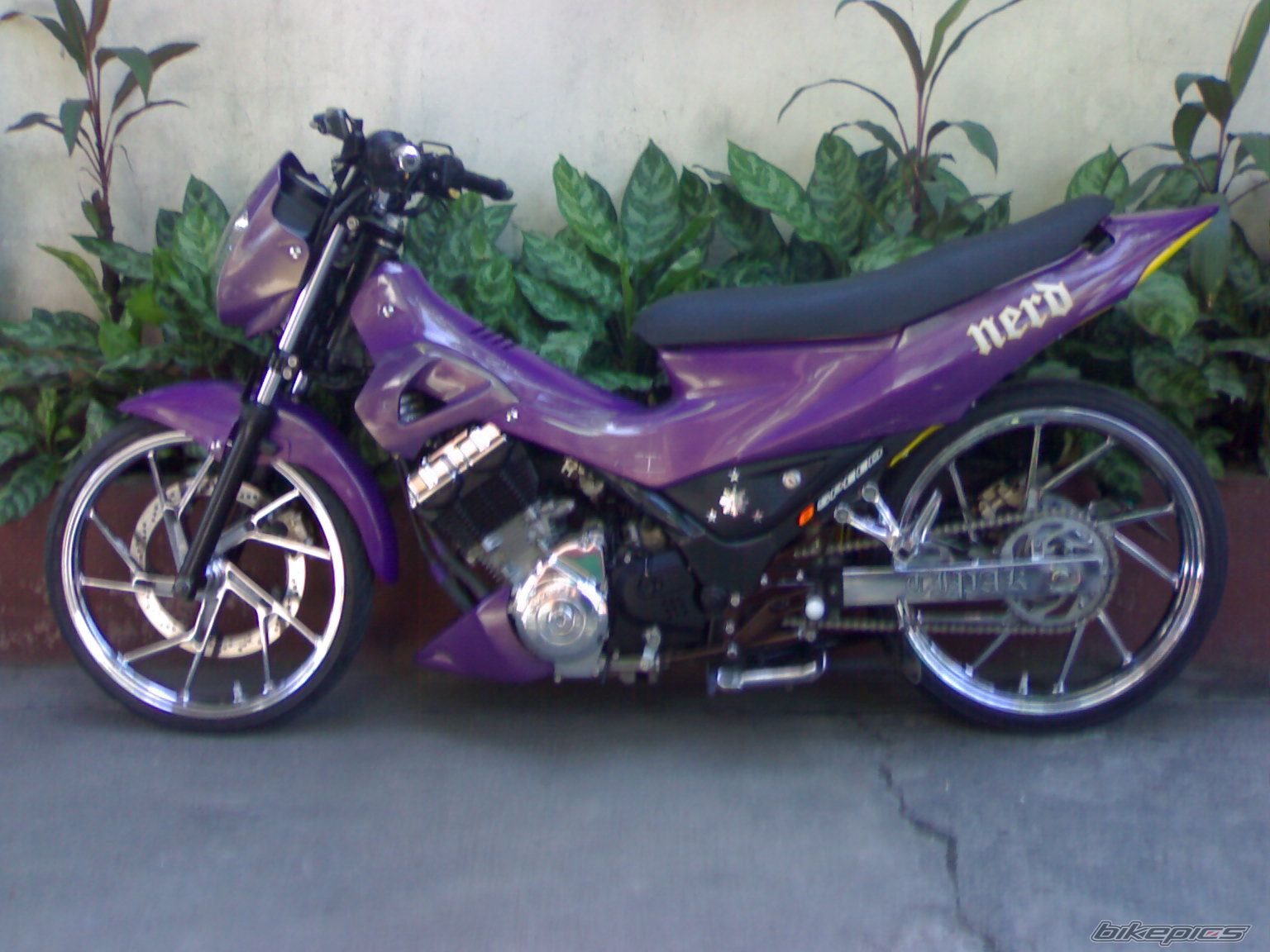 Photo 2008689