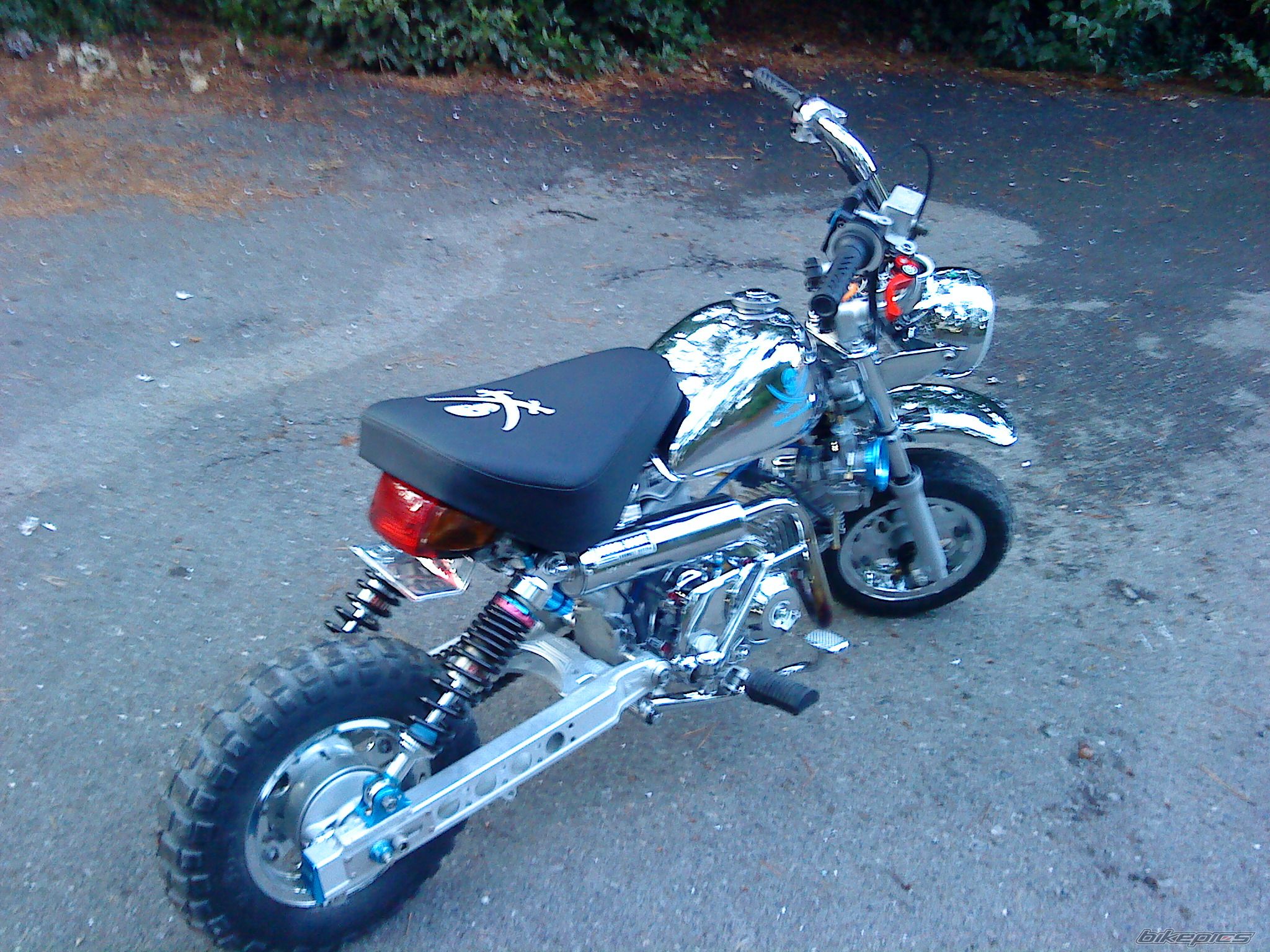 Photo 2008718