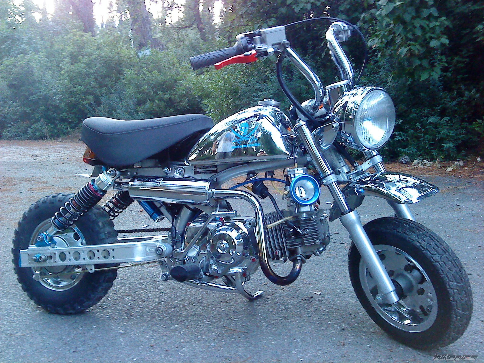 Photo 2008720