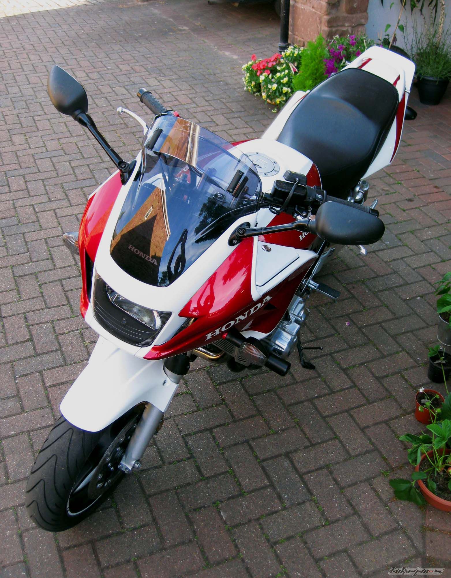 Photo 2008752