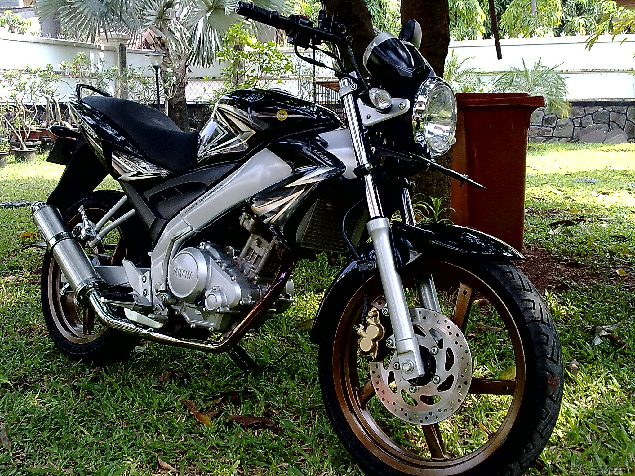 Photo 2008756
