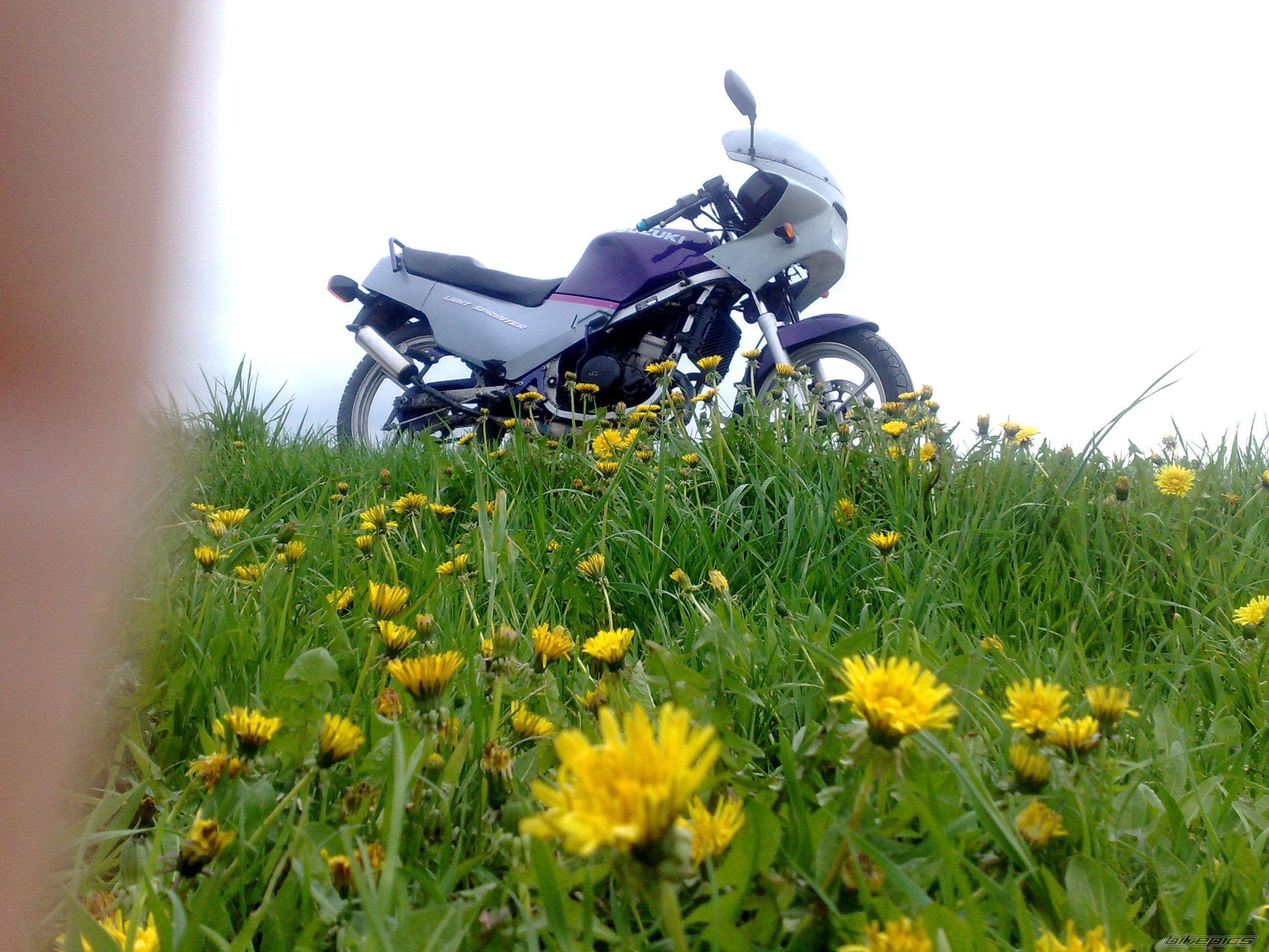 Photo 2008797