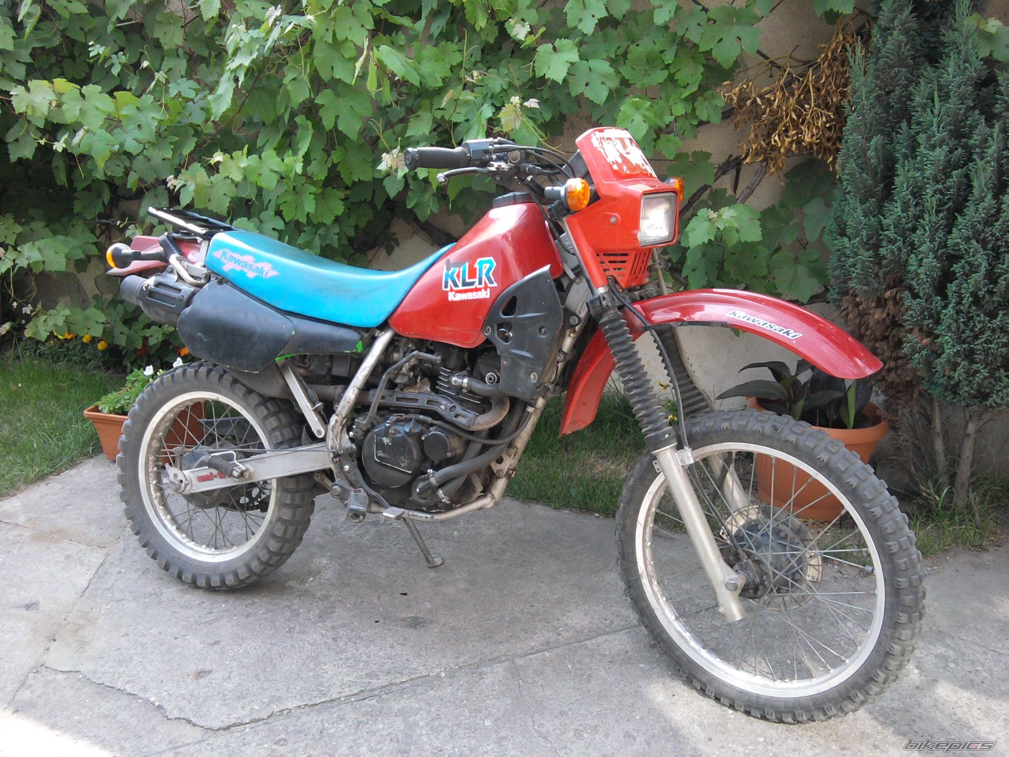 Photo 2008799
