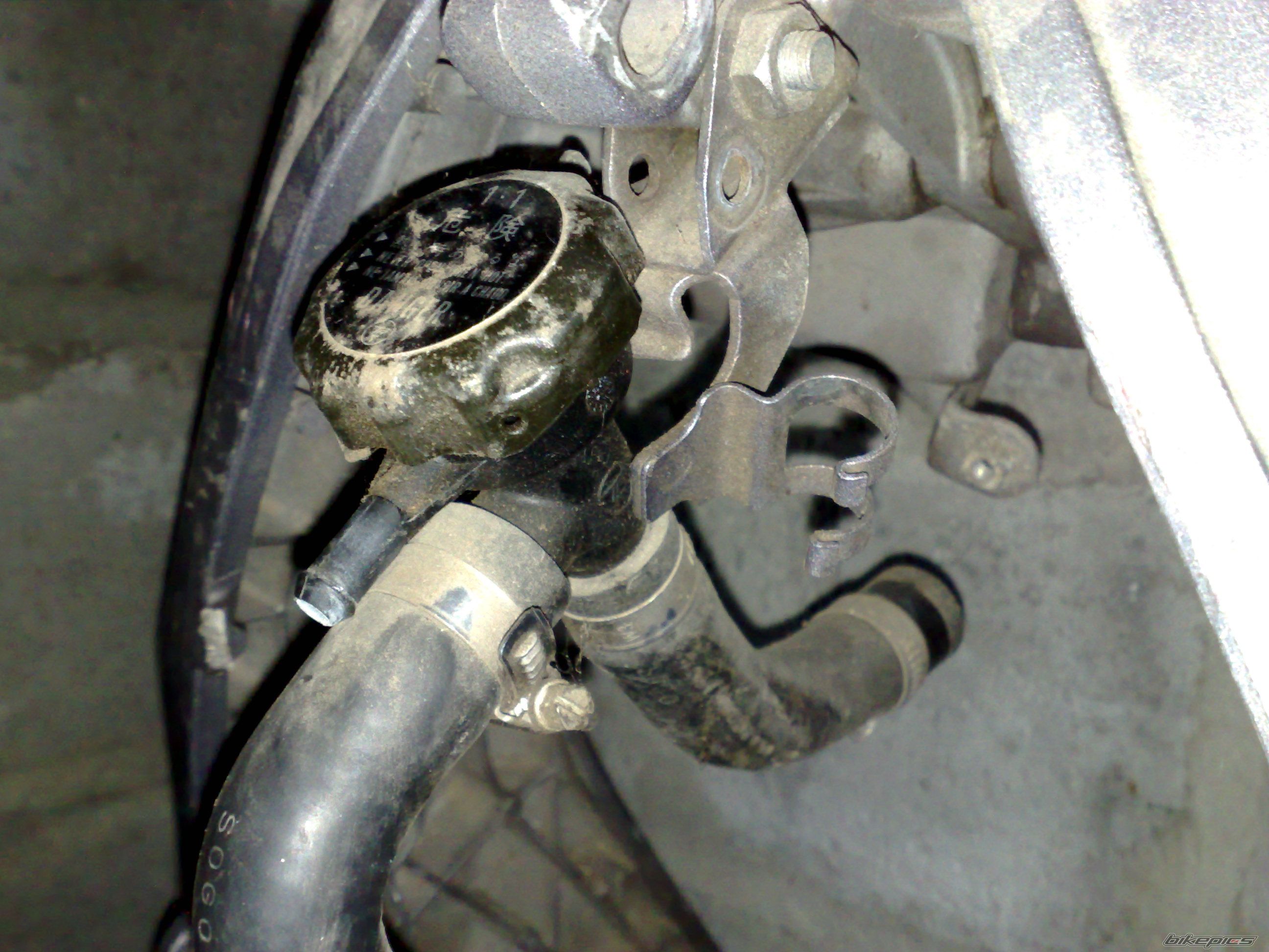 Bike Photo 2008916