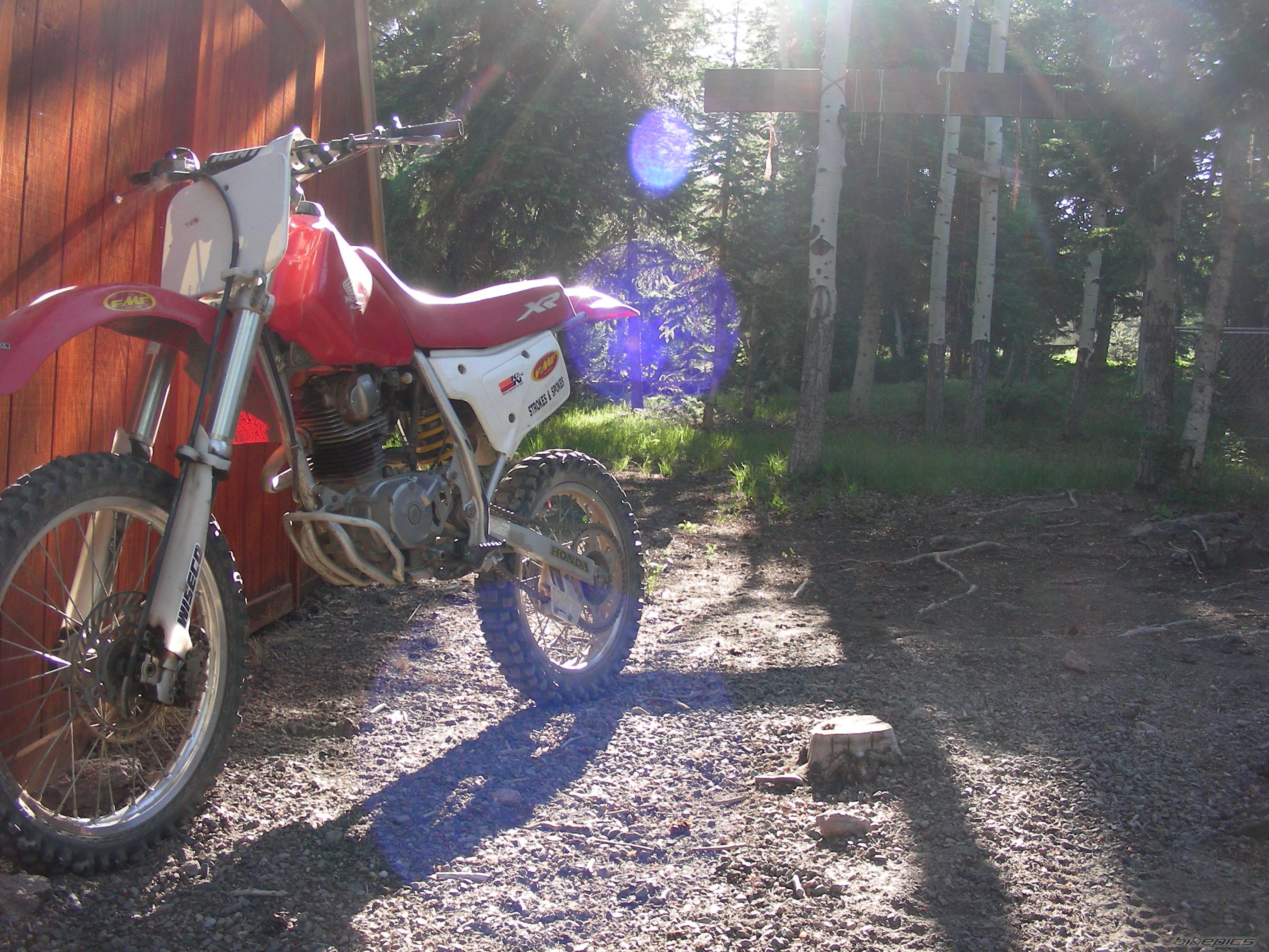 Photo 2008958