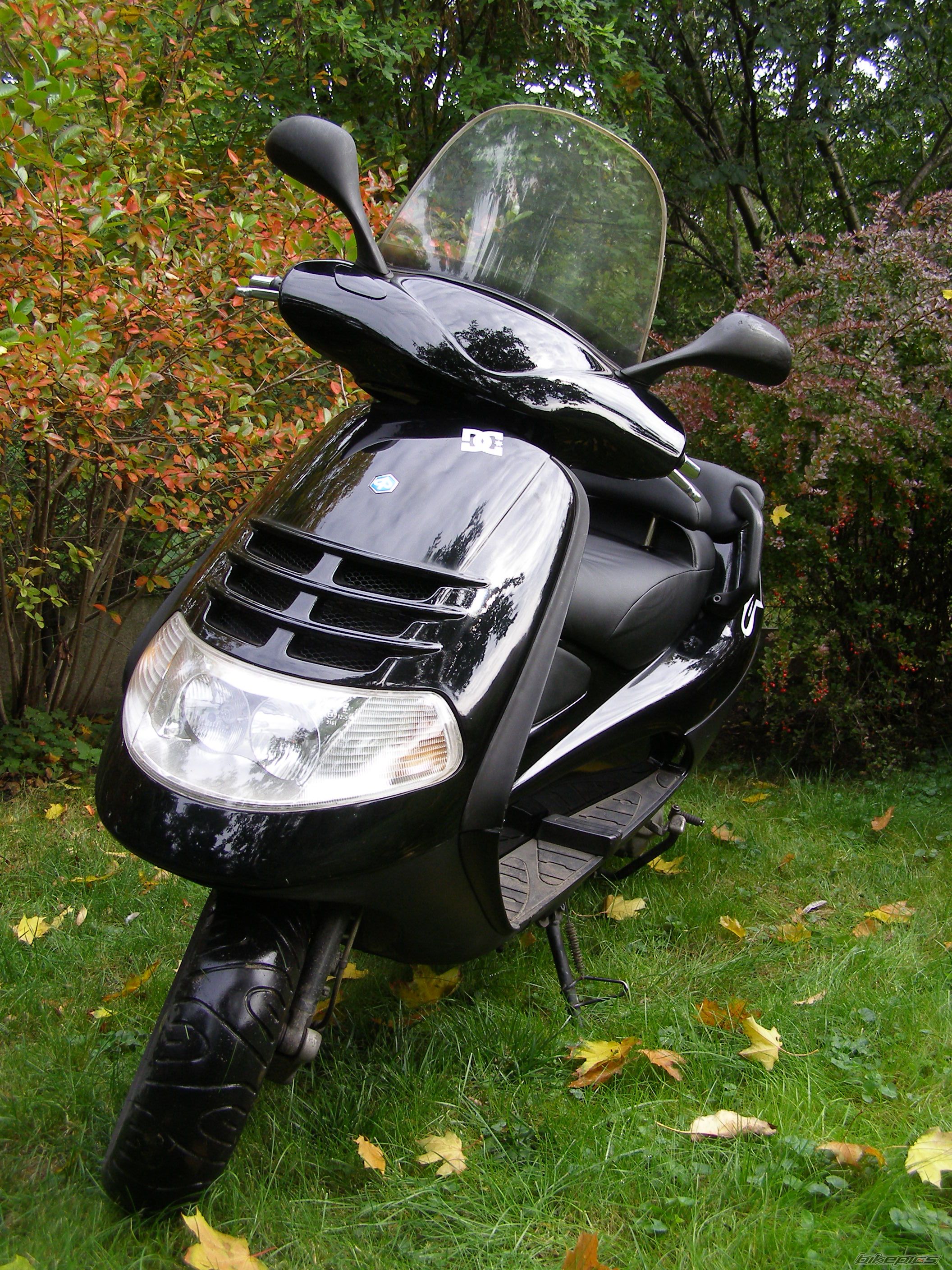 Photo 2009060