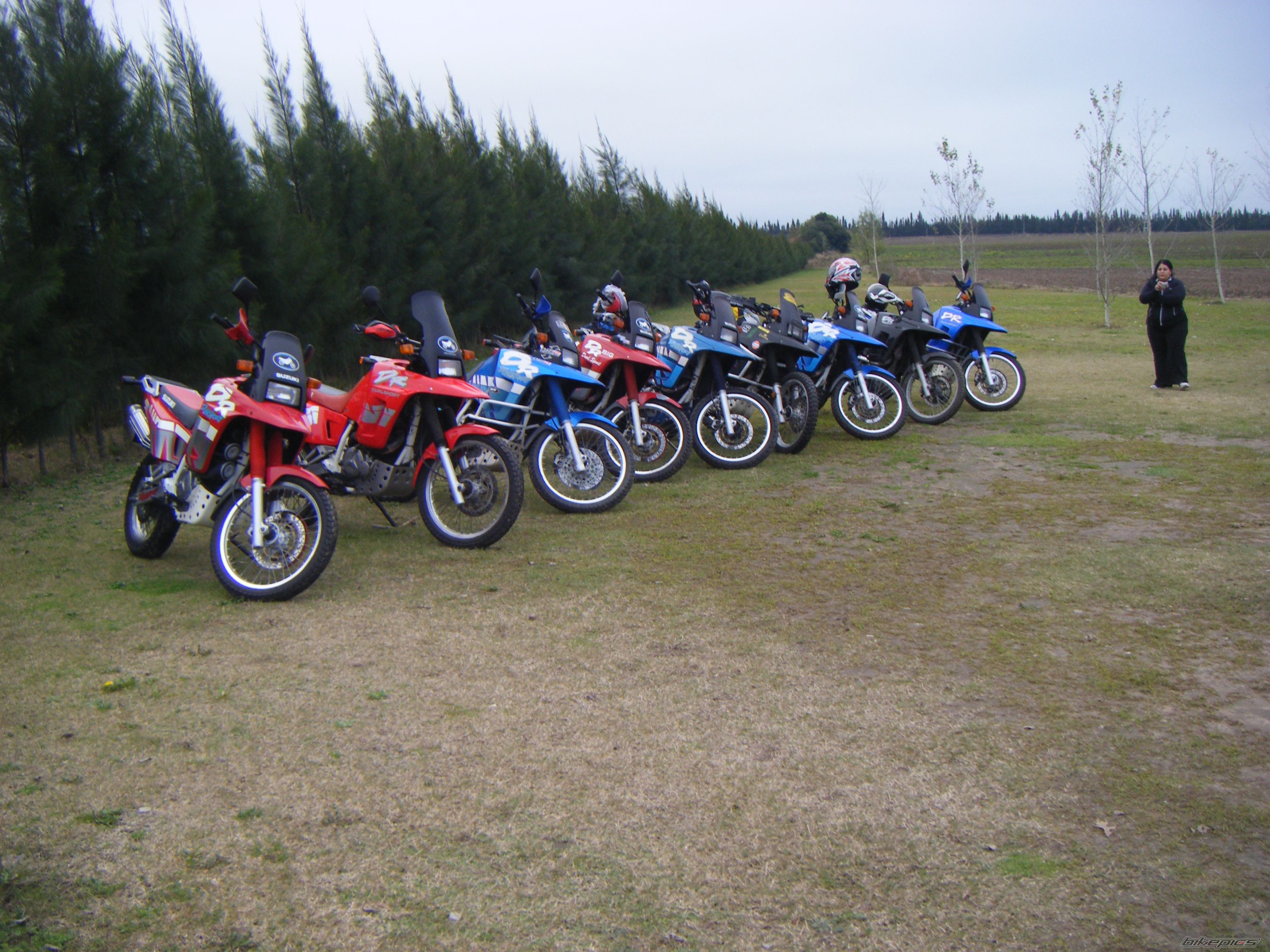 Photo 2009103