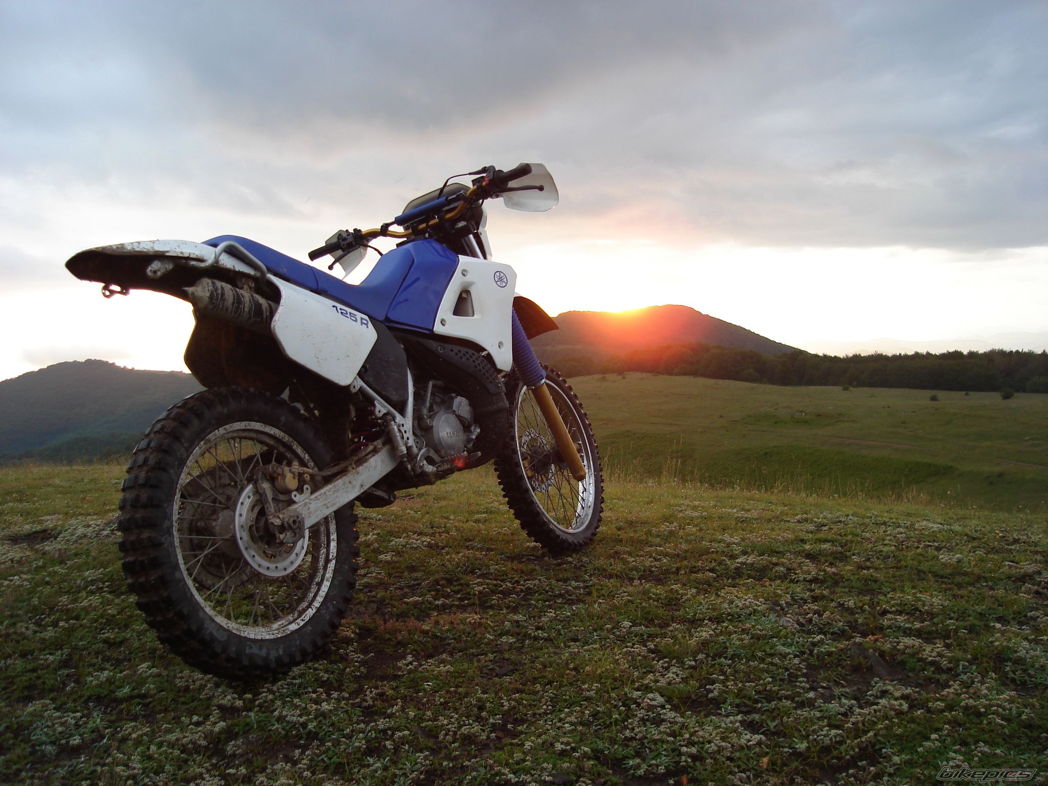 Photo 2009148