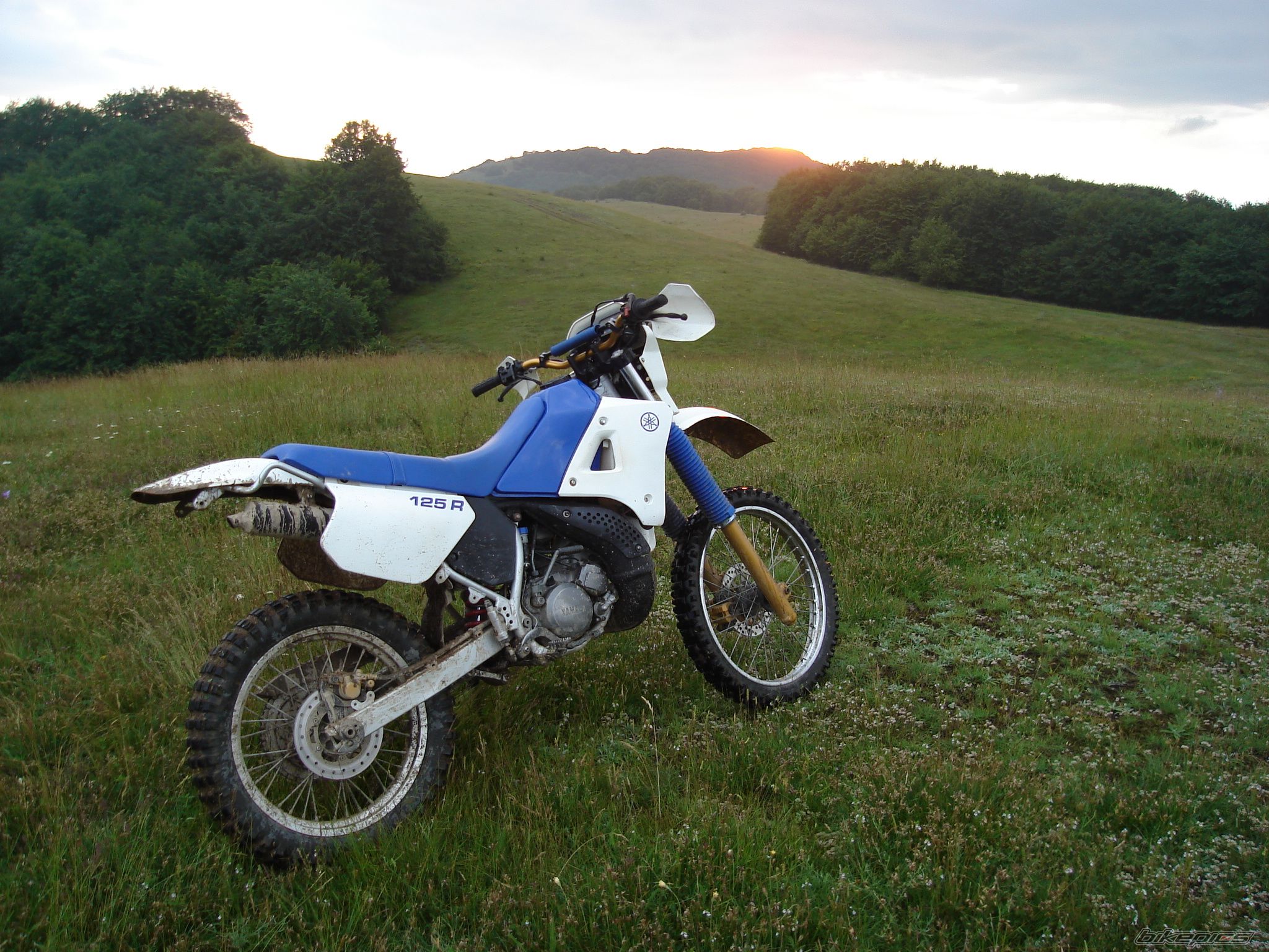 Photo 2009154