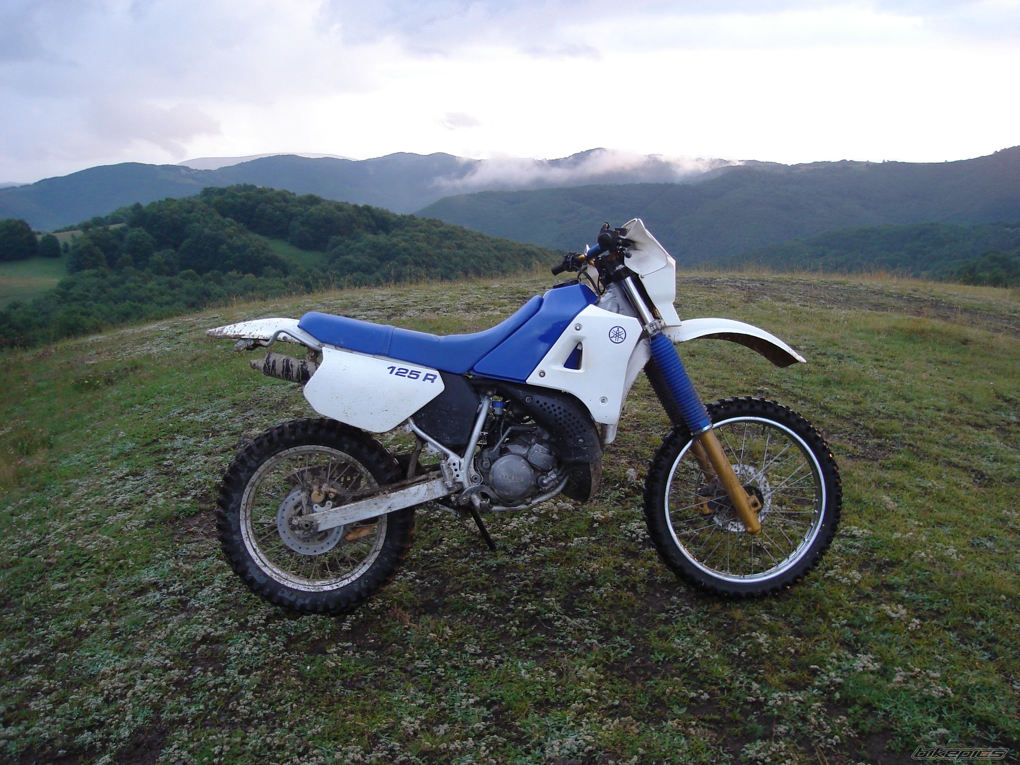 Photo 2009156