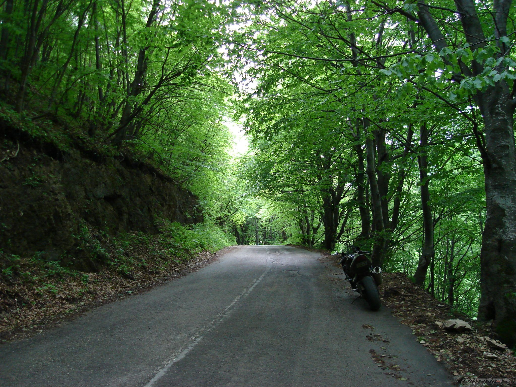 Photo 2009160