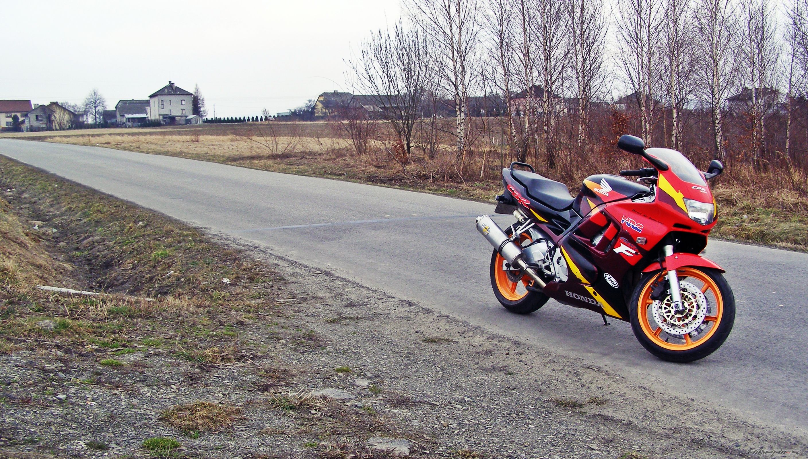 Photo 2009163