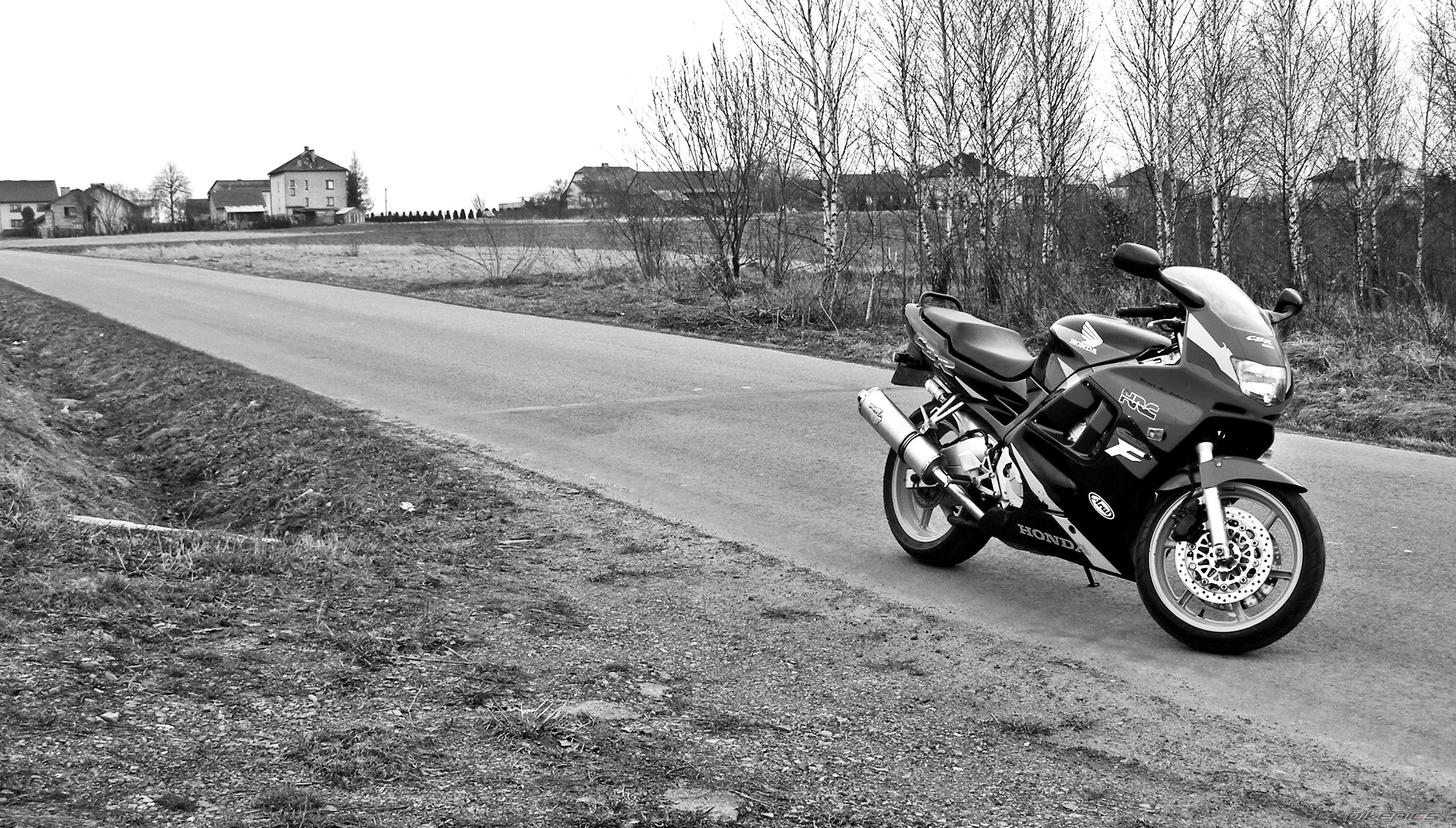 Photo 2009165