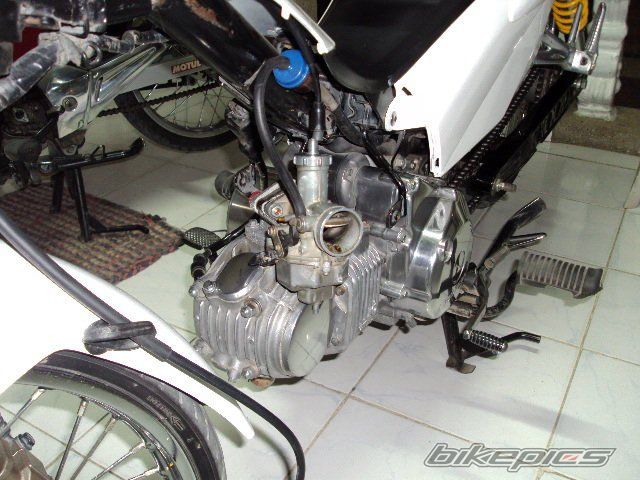 Photo 2009169