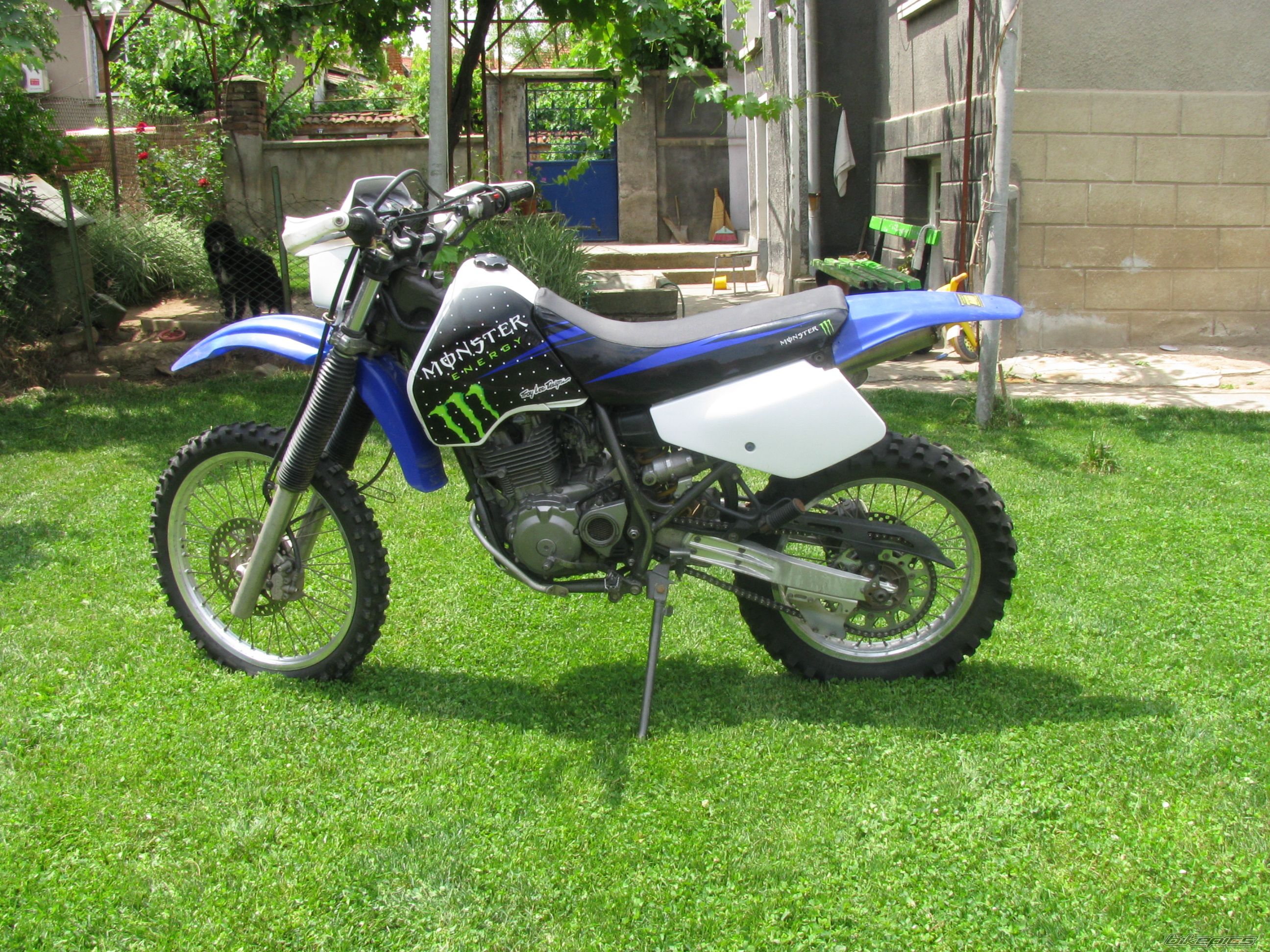 Bike Photo 2009192