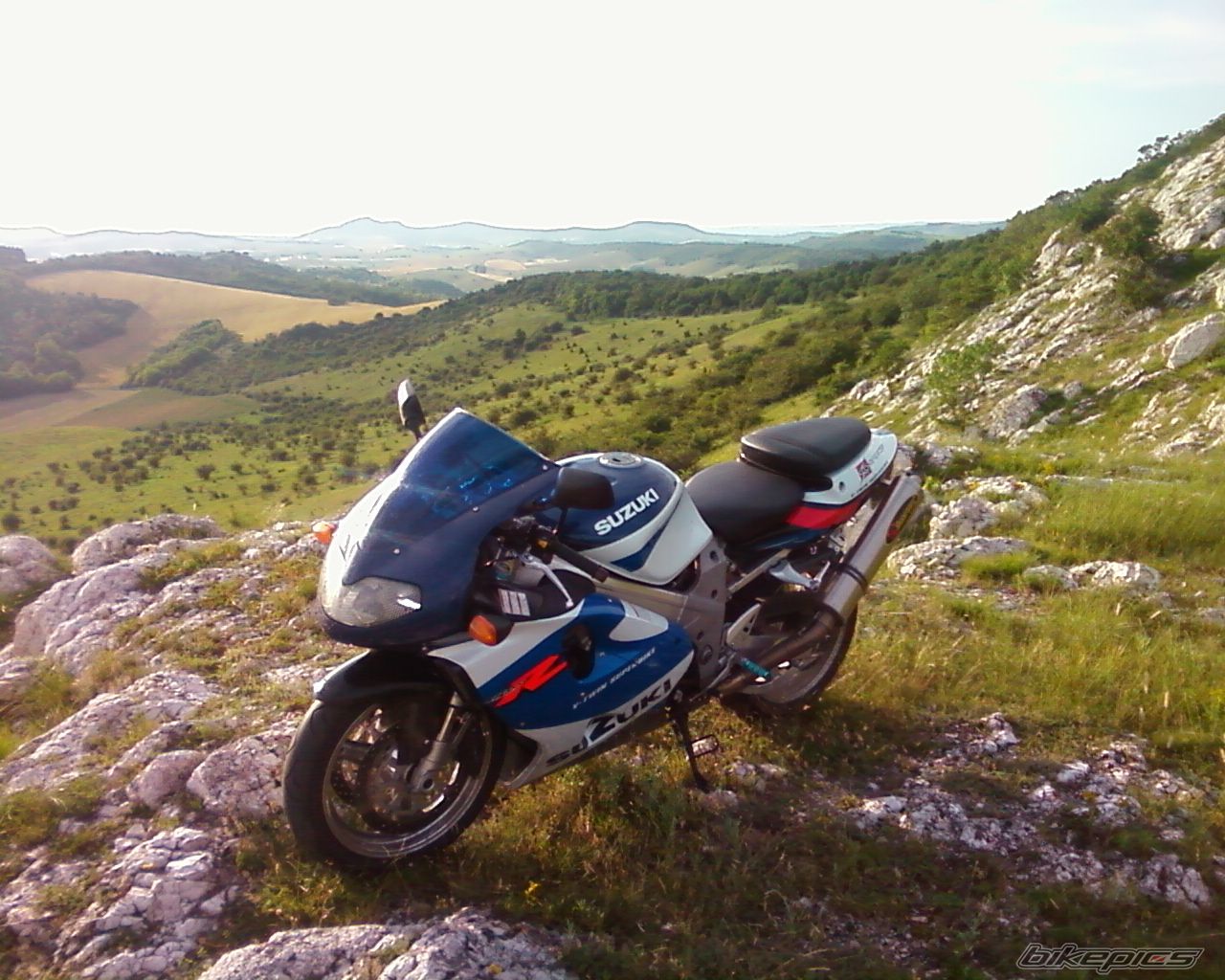 Photo 2009250