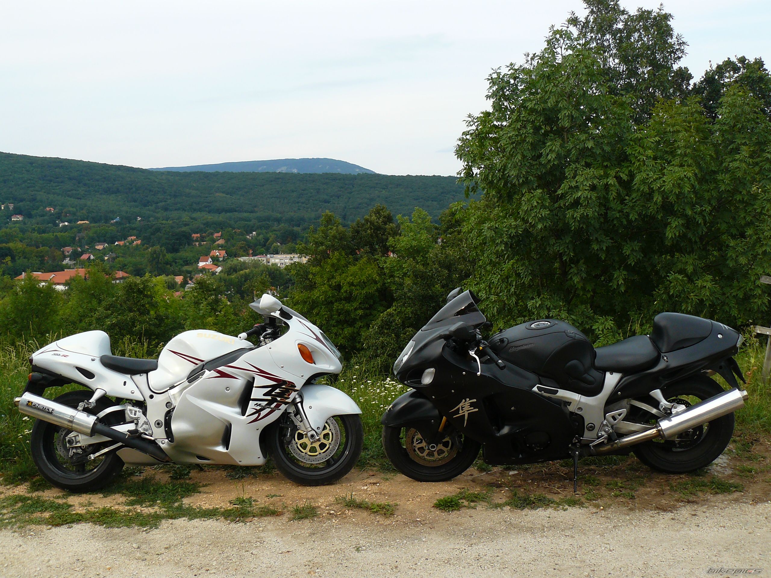 Photo 2009263