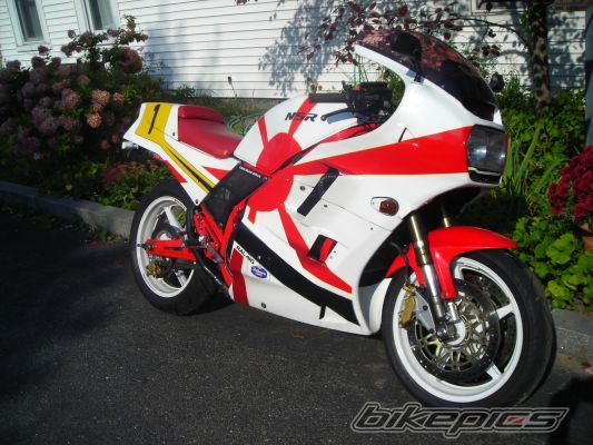 Photo 2009361