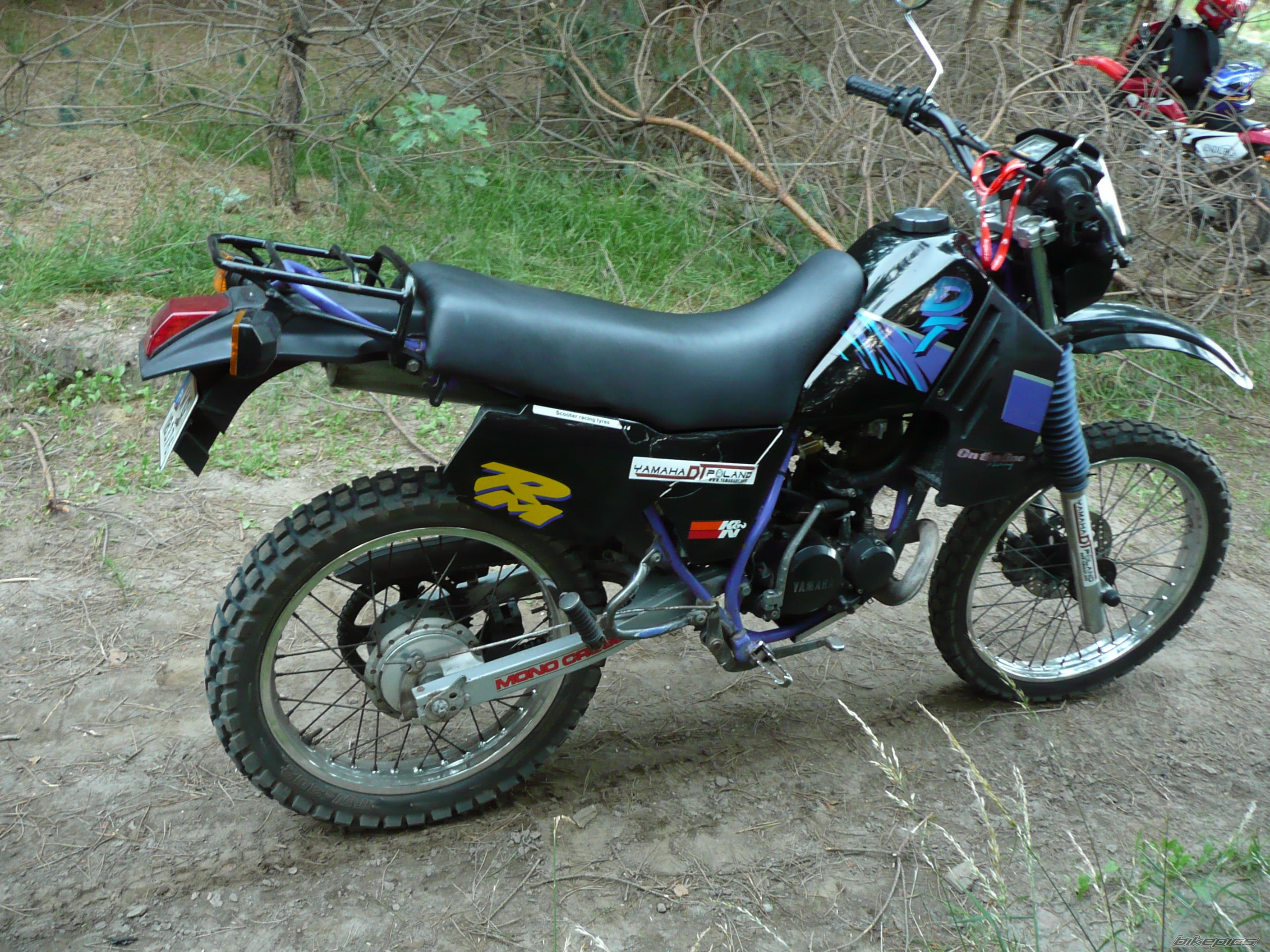 Photo 2009420