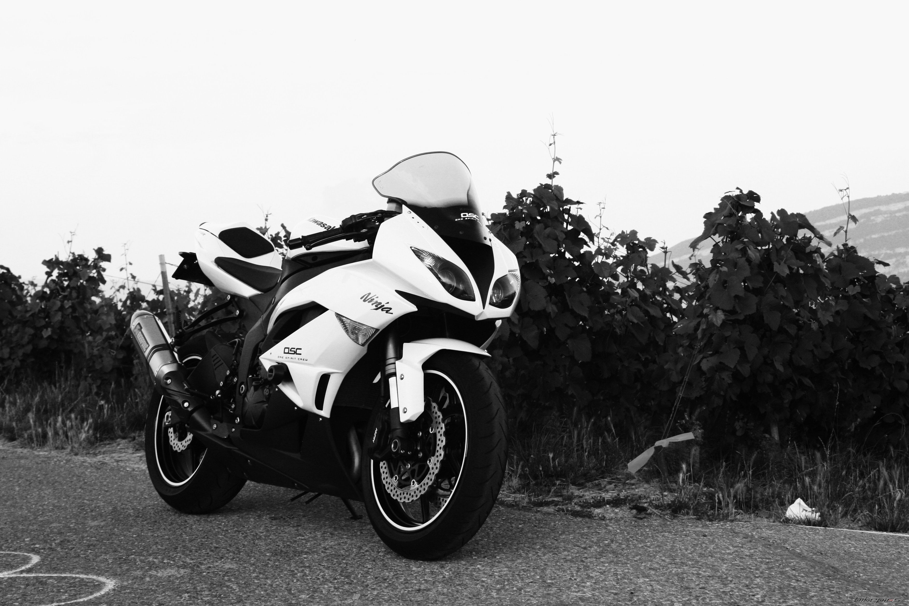 Photo 2009480