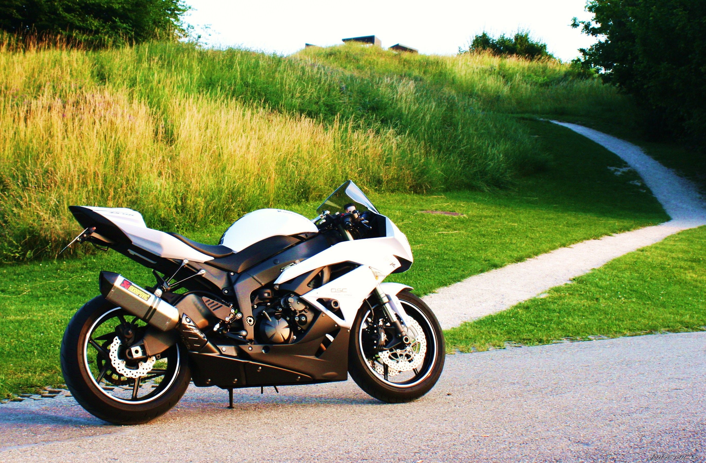 Photo 2009481