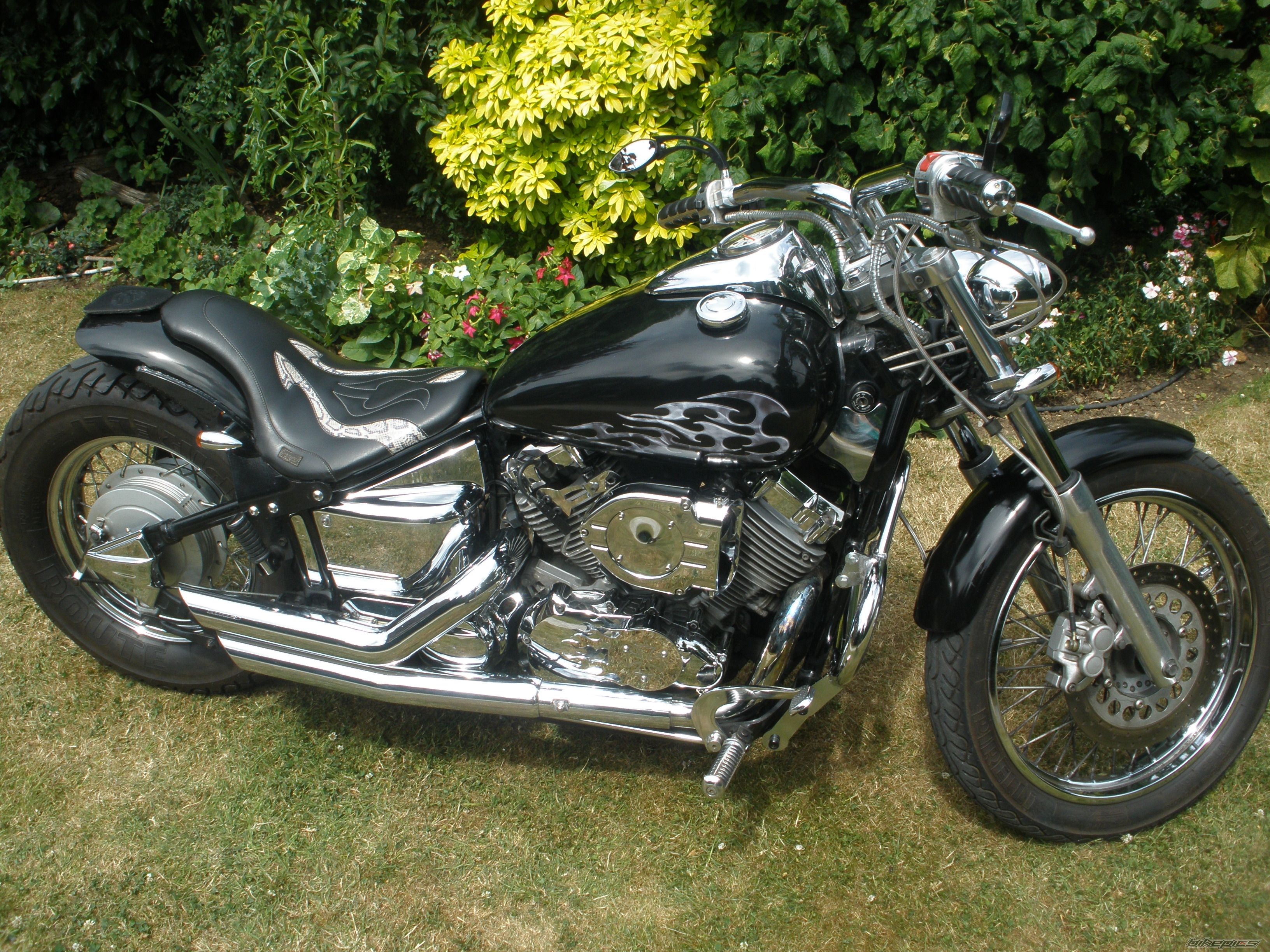 Photo 2009556