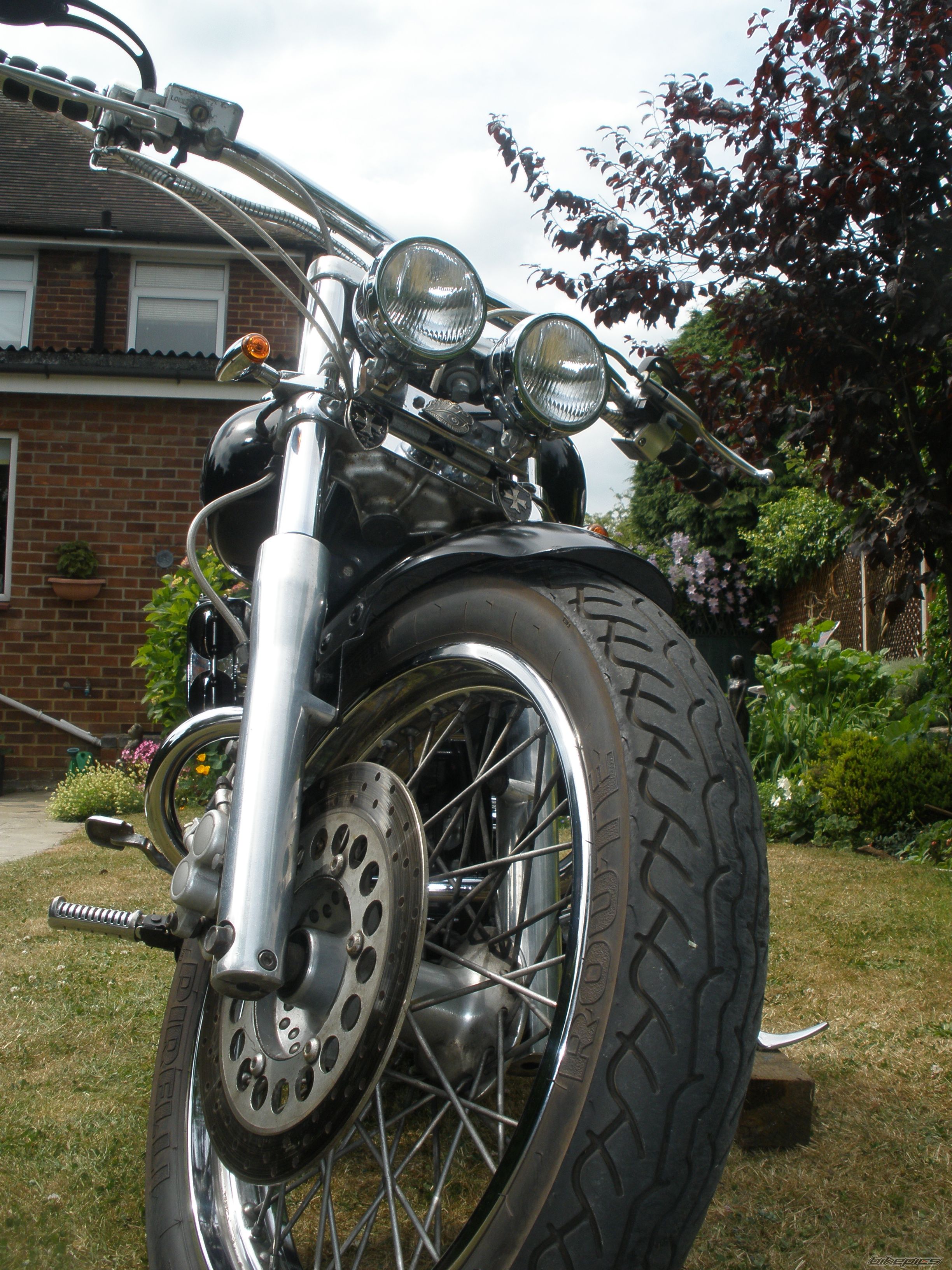 Photo 2009560