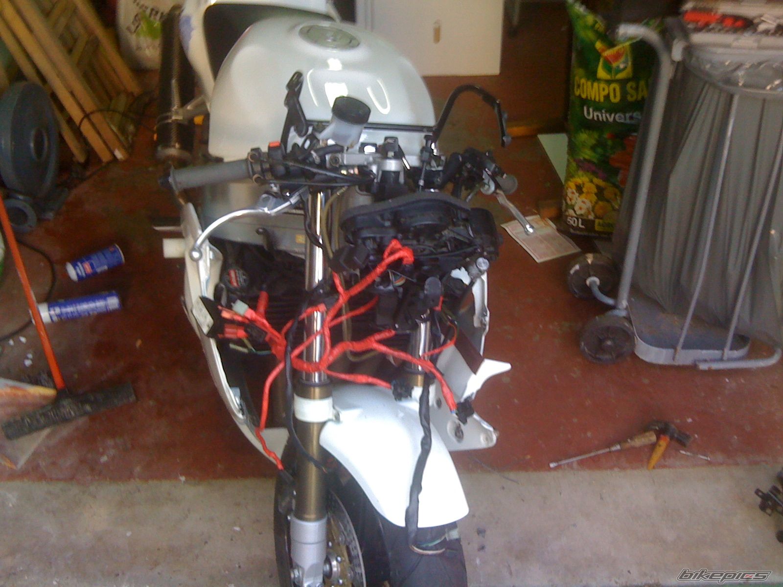 Photo 2009639