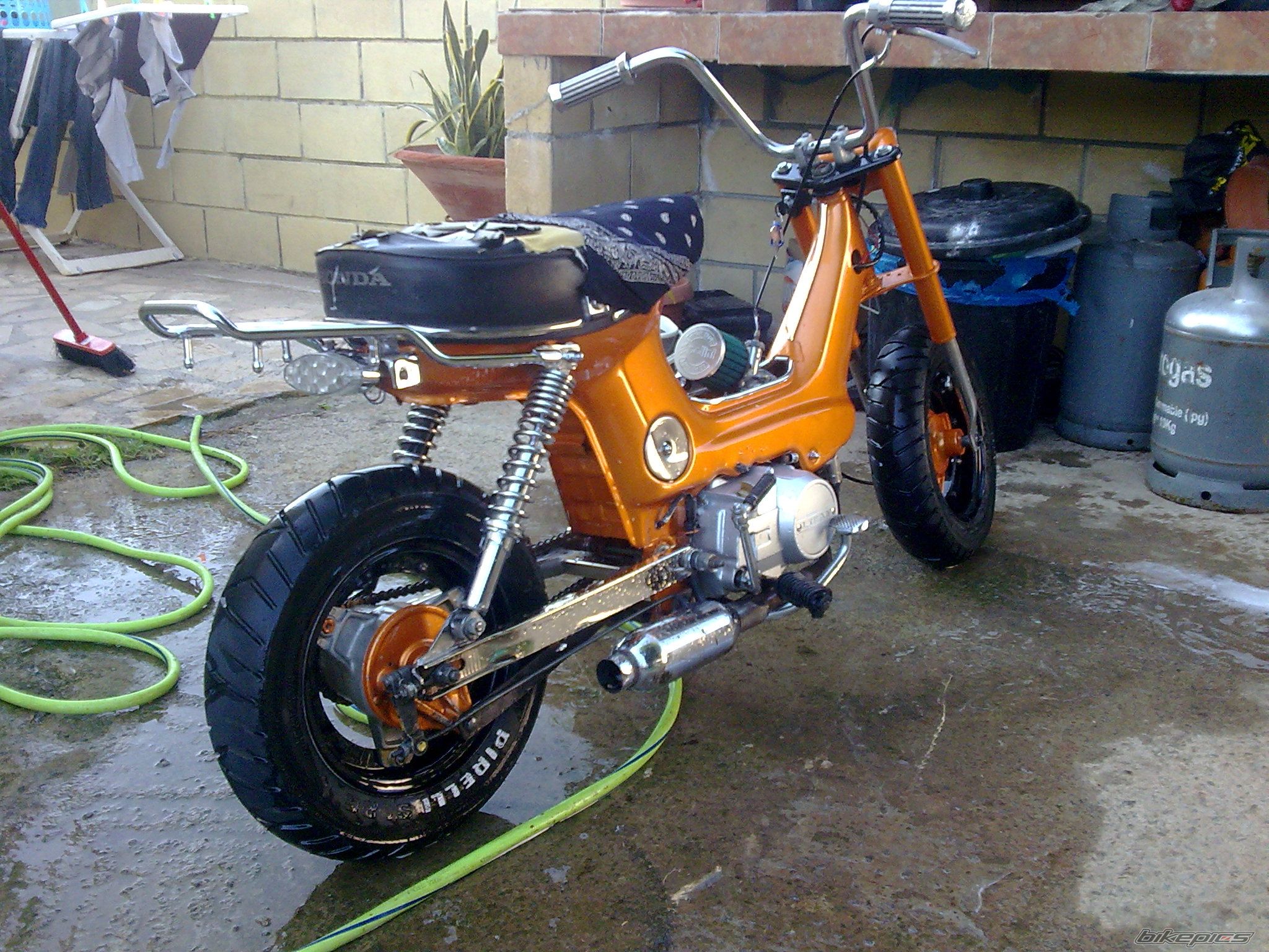 Photo 2009800