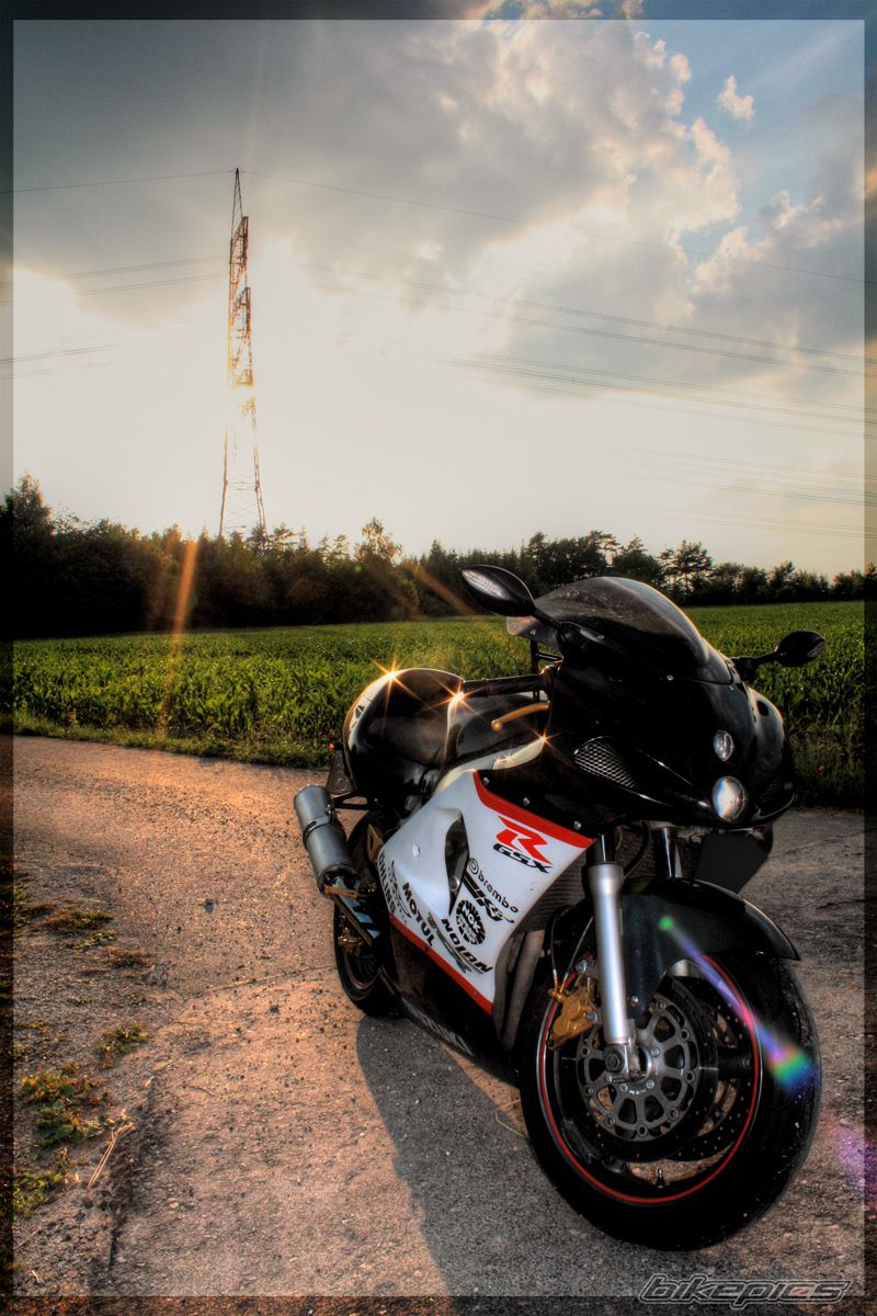 Photo 2009945
