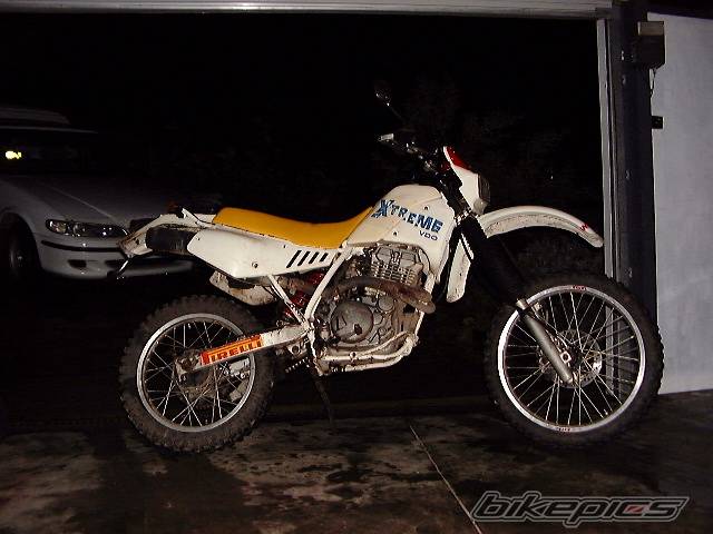 Photo 2010