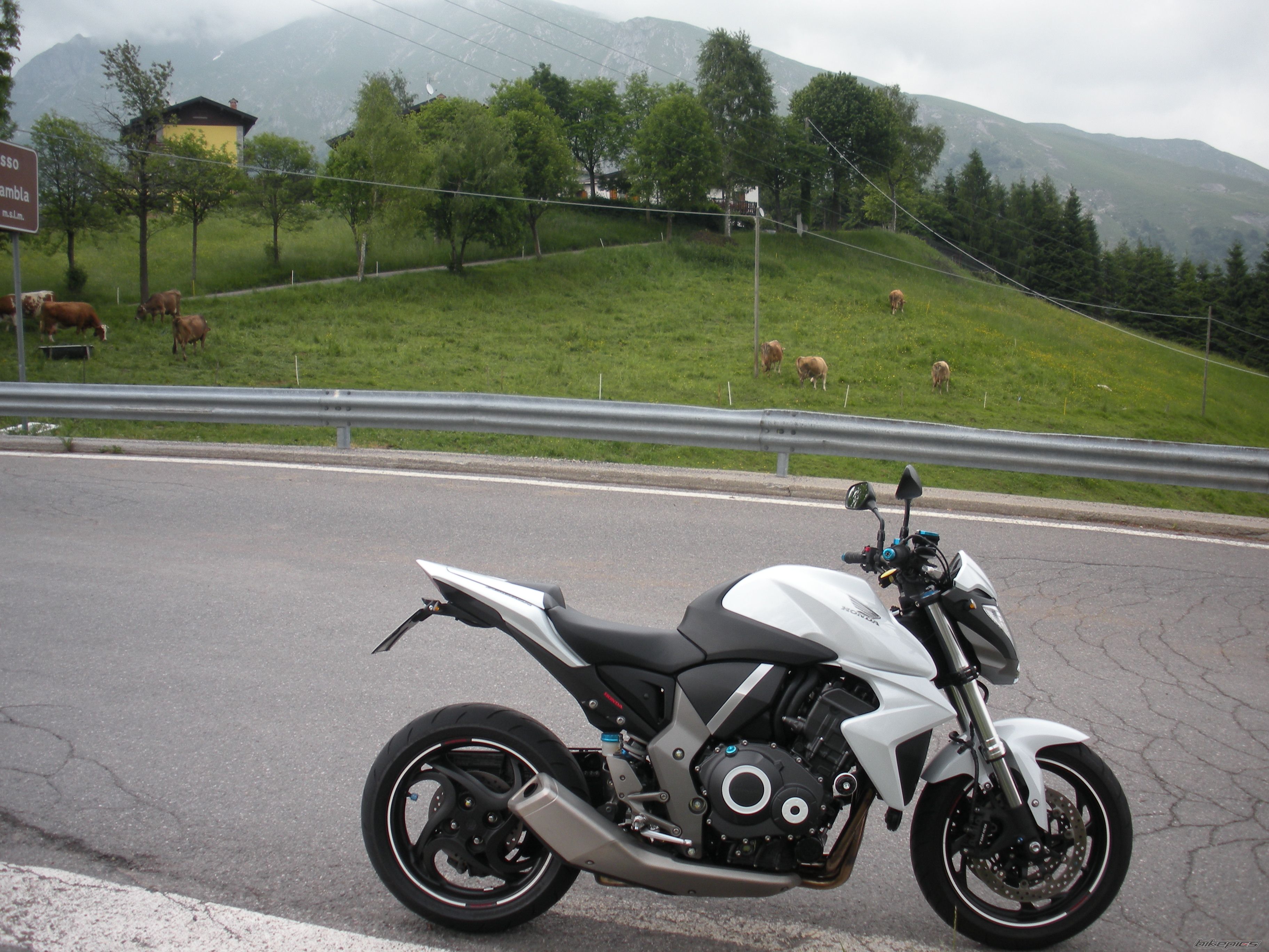 Bike Photo 2010007