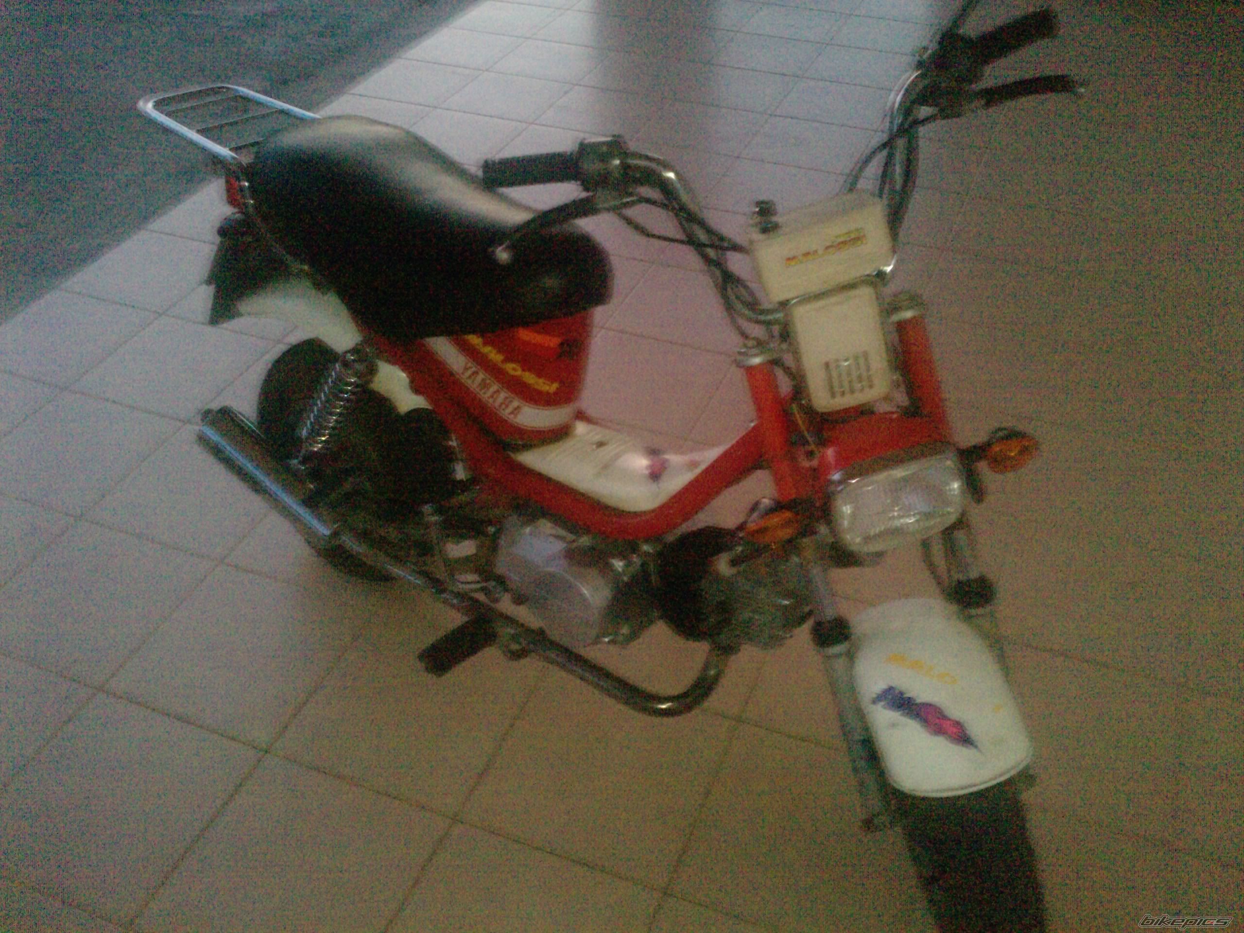 Photo 2010138