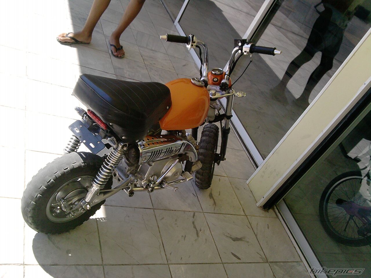 Photo 2010140
