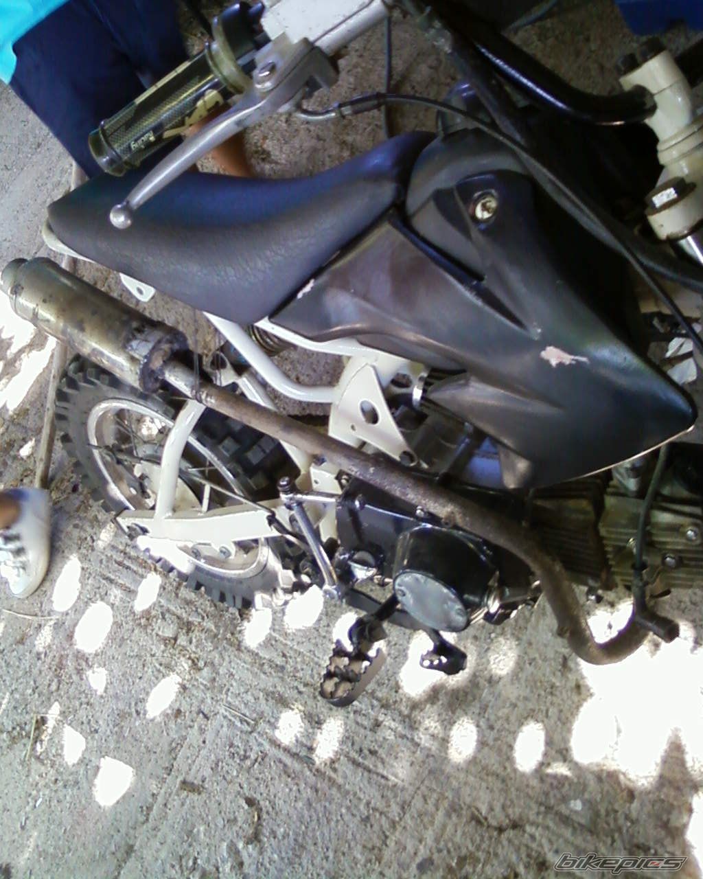 Photo 2010157
