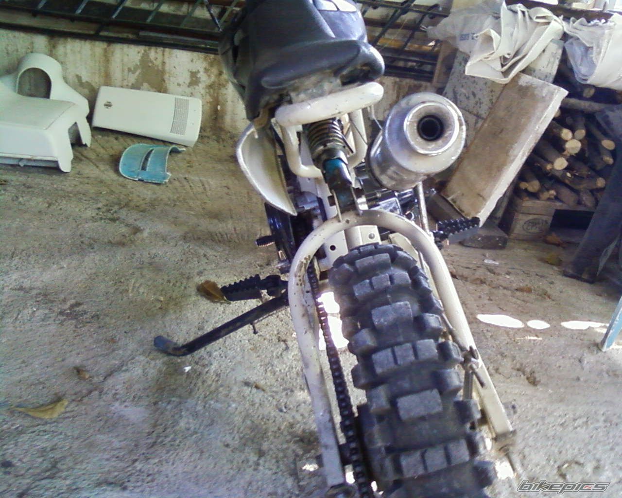 Photo 2010158