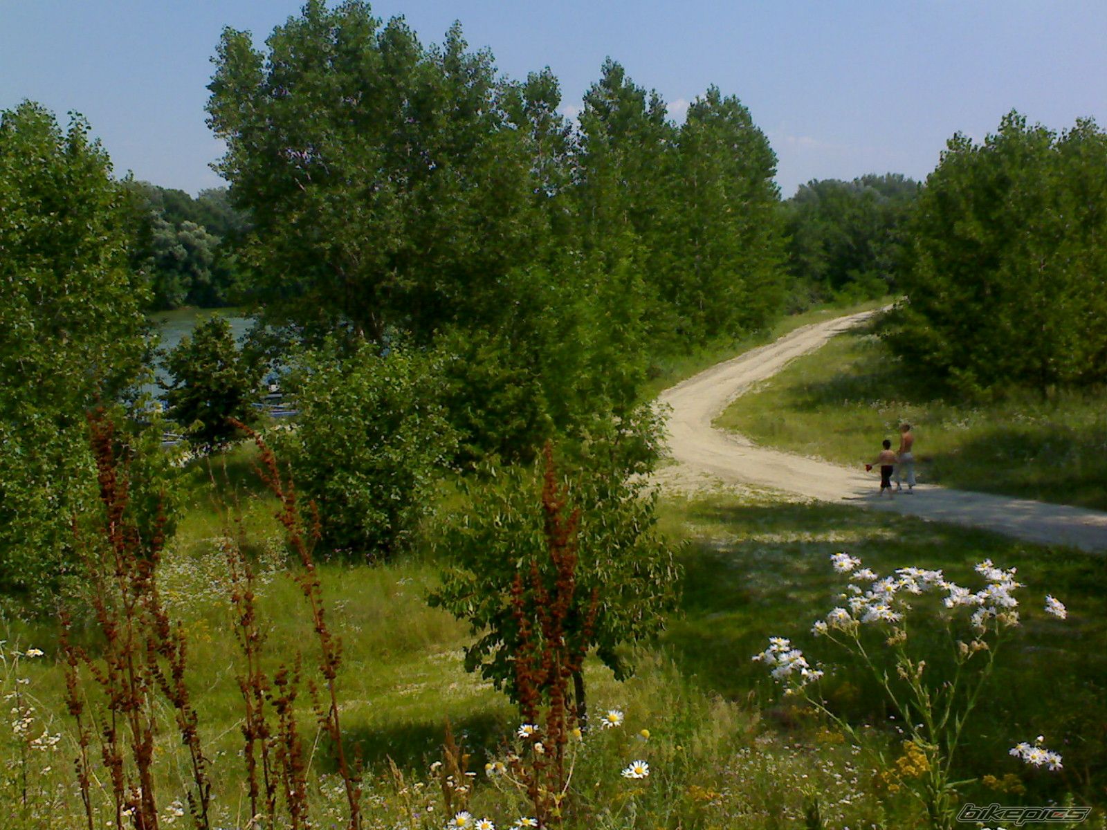 Photo 2010206