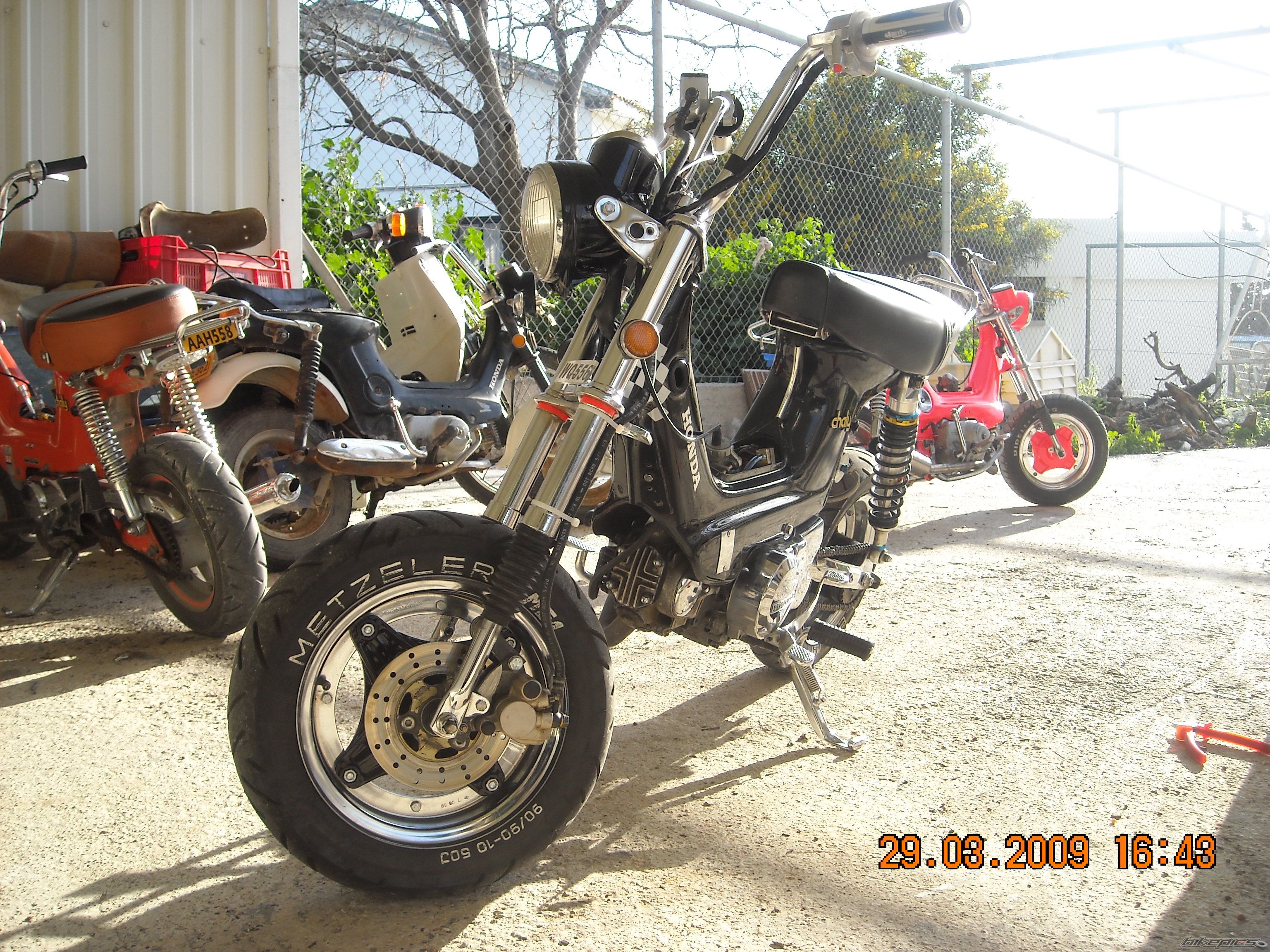 Photo 2010223