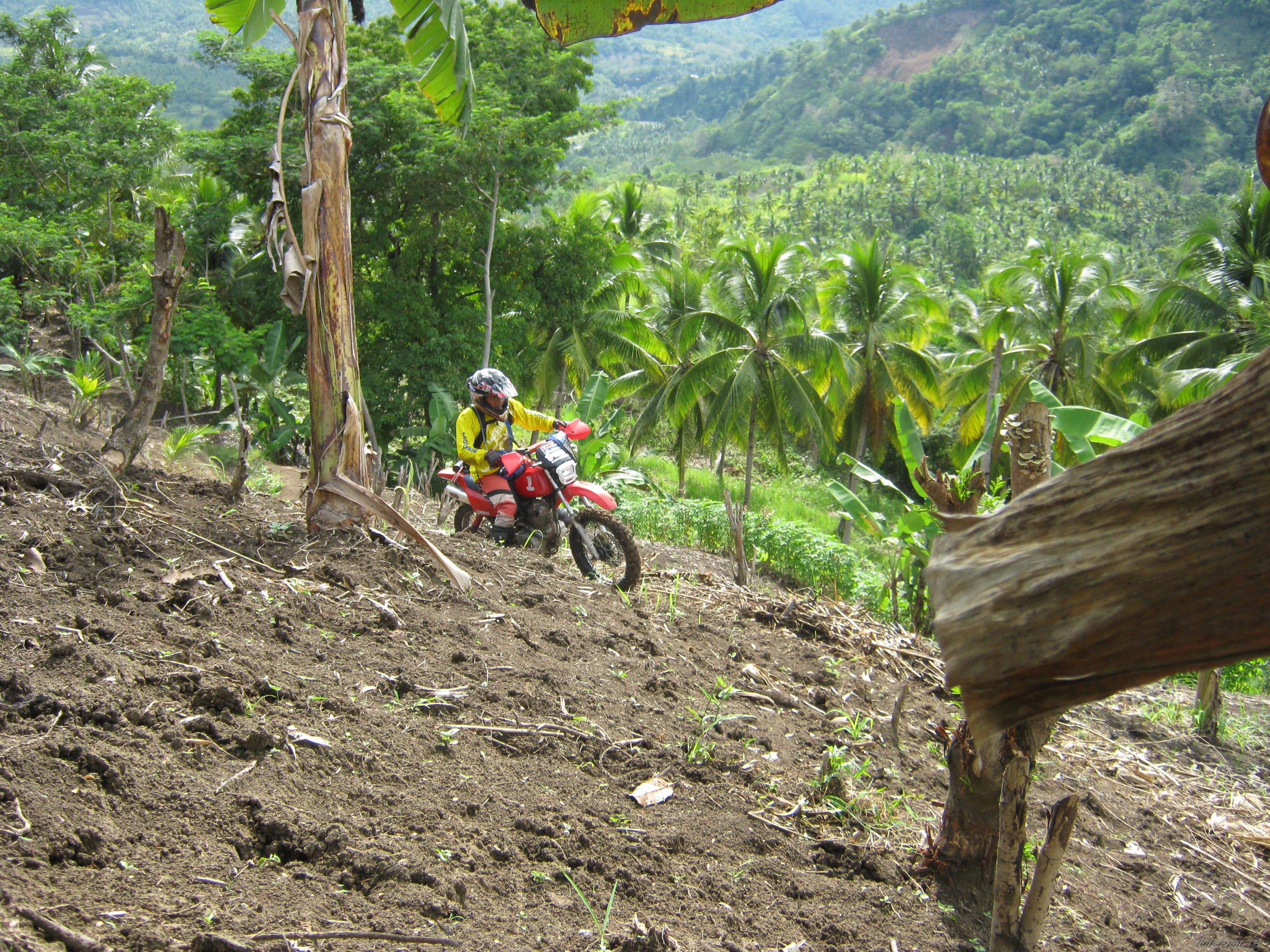 Photo 2010227