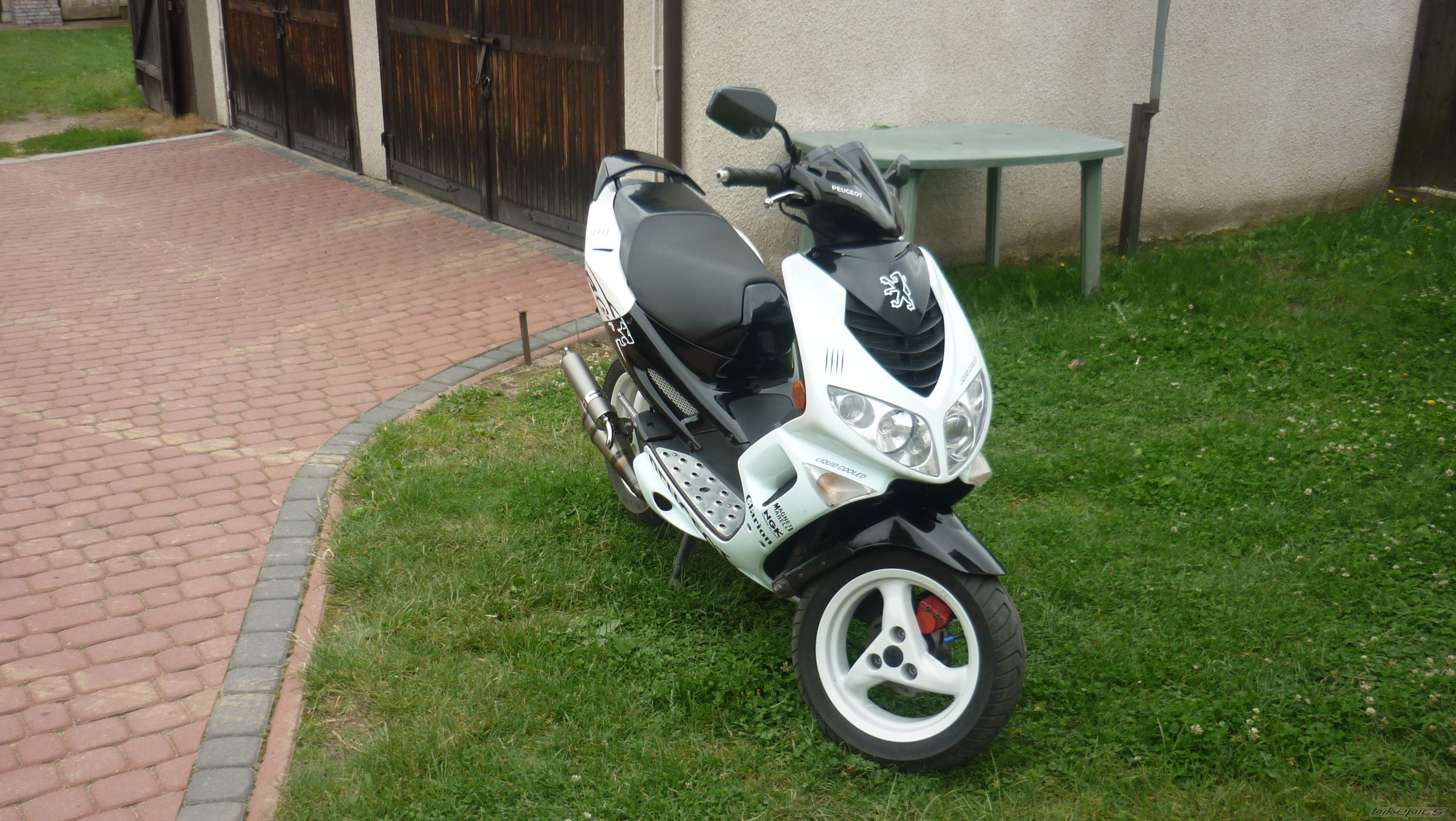 Photo 2010241