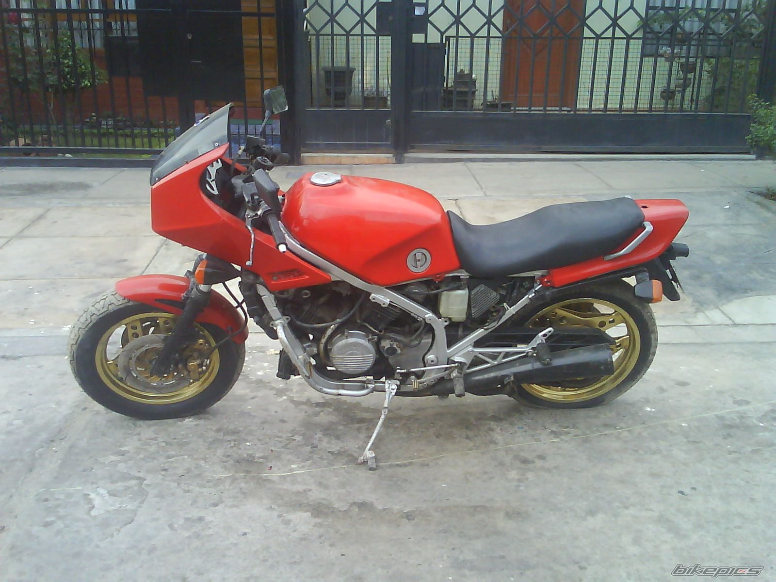 Photo 2010248