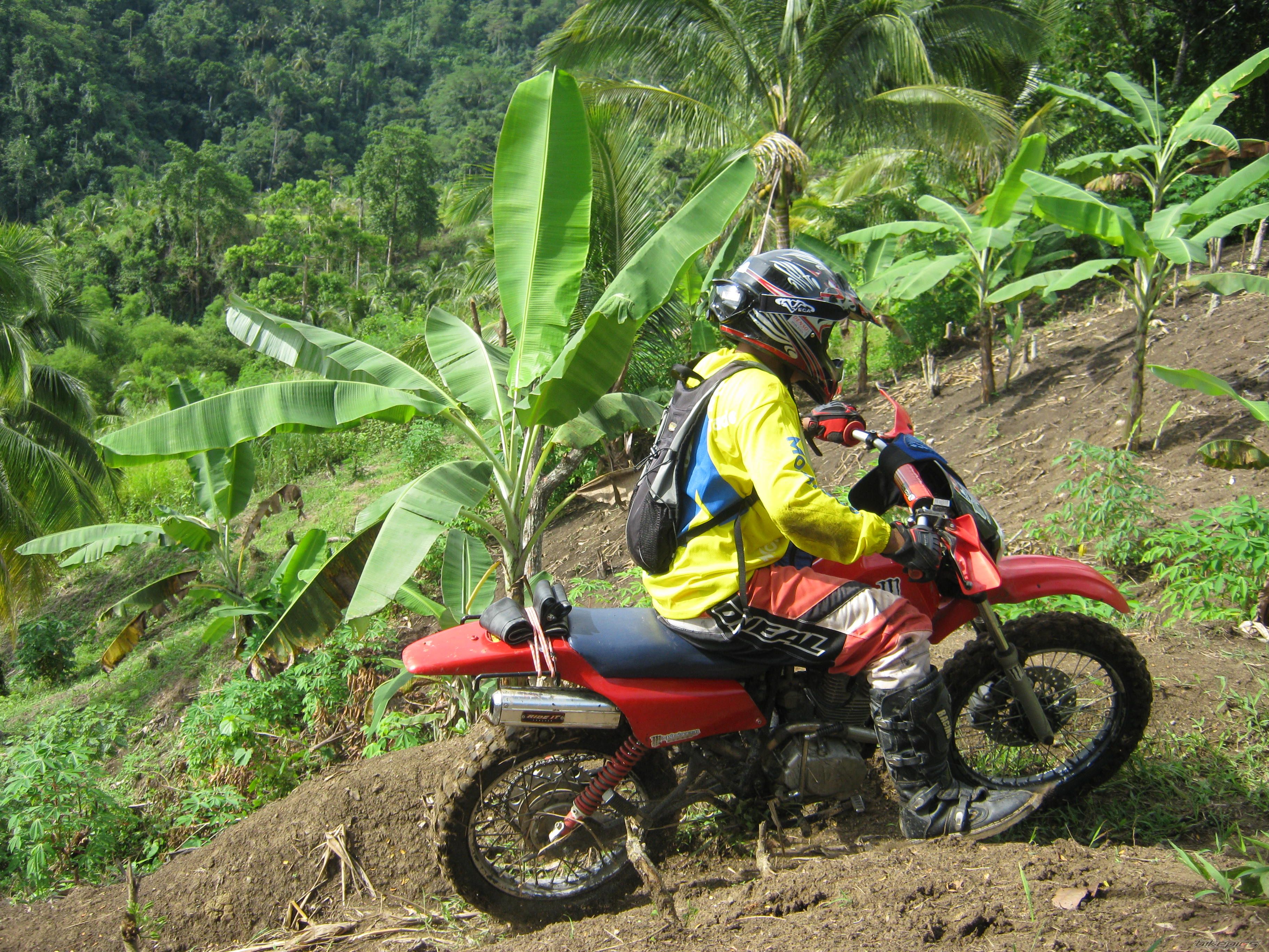 Photo 2010252