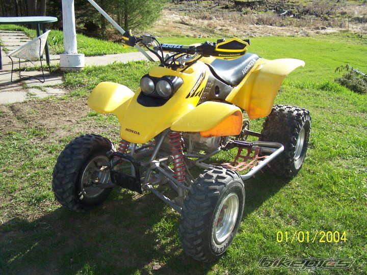 Photo 2010310