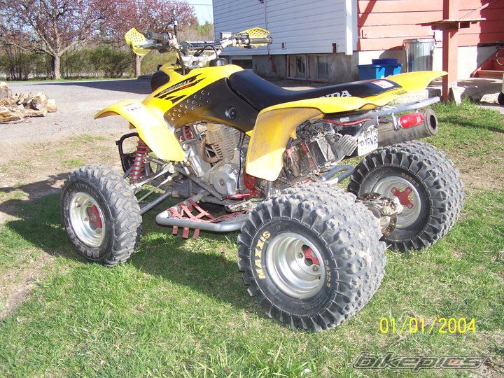 Photo 2010311