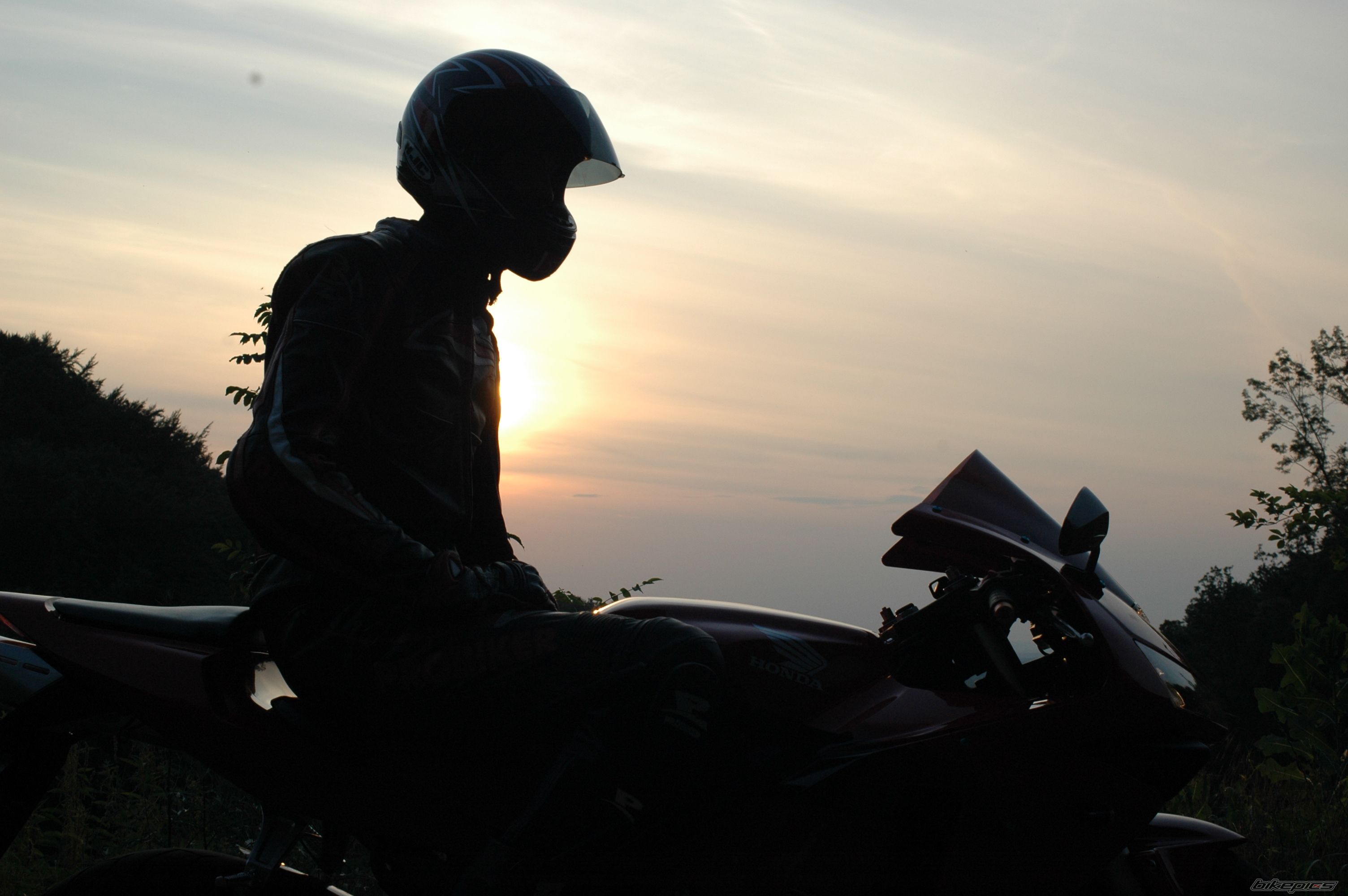 Photo 2010347