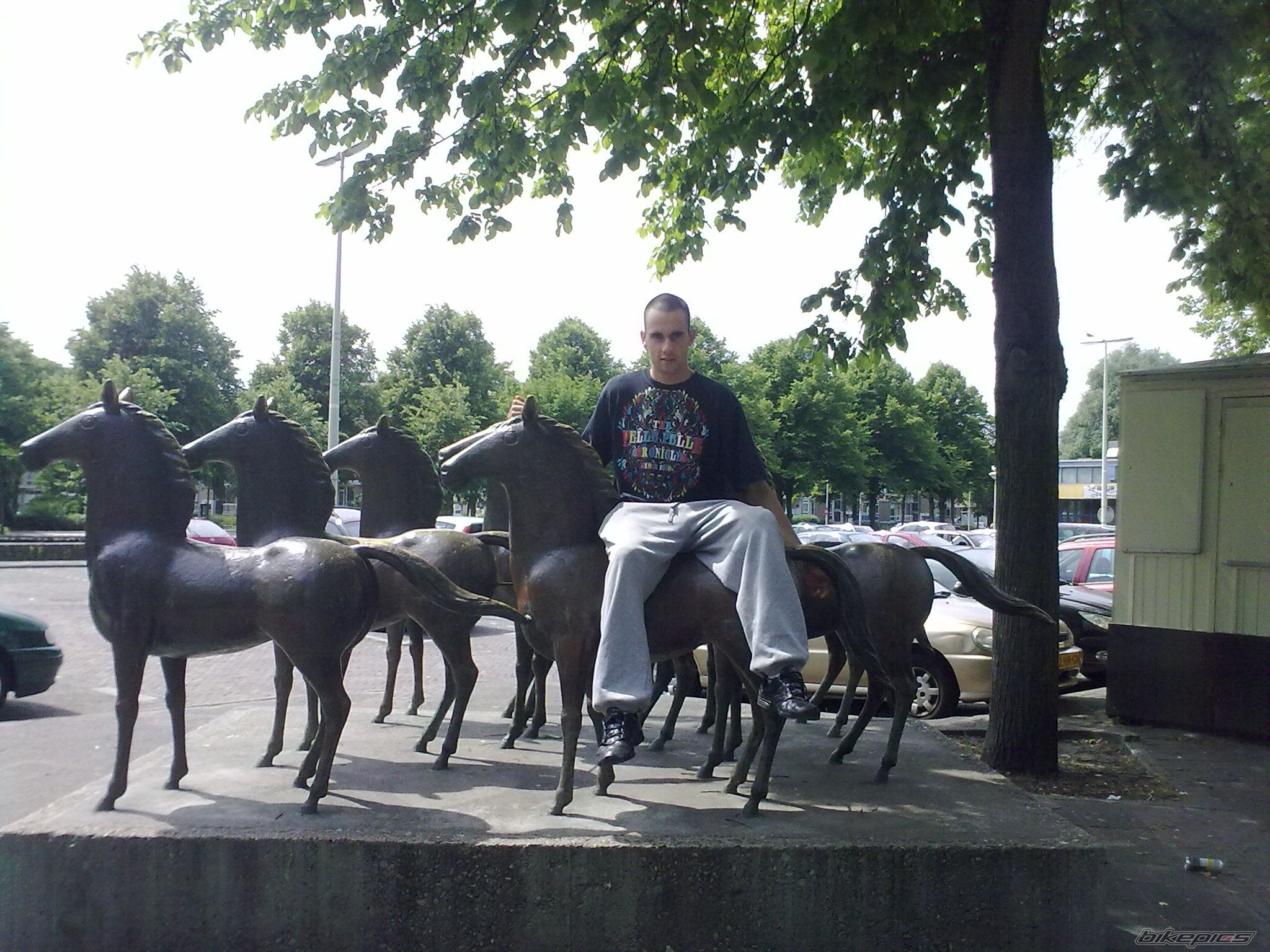 Photo 2010364