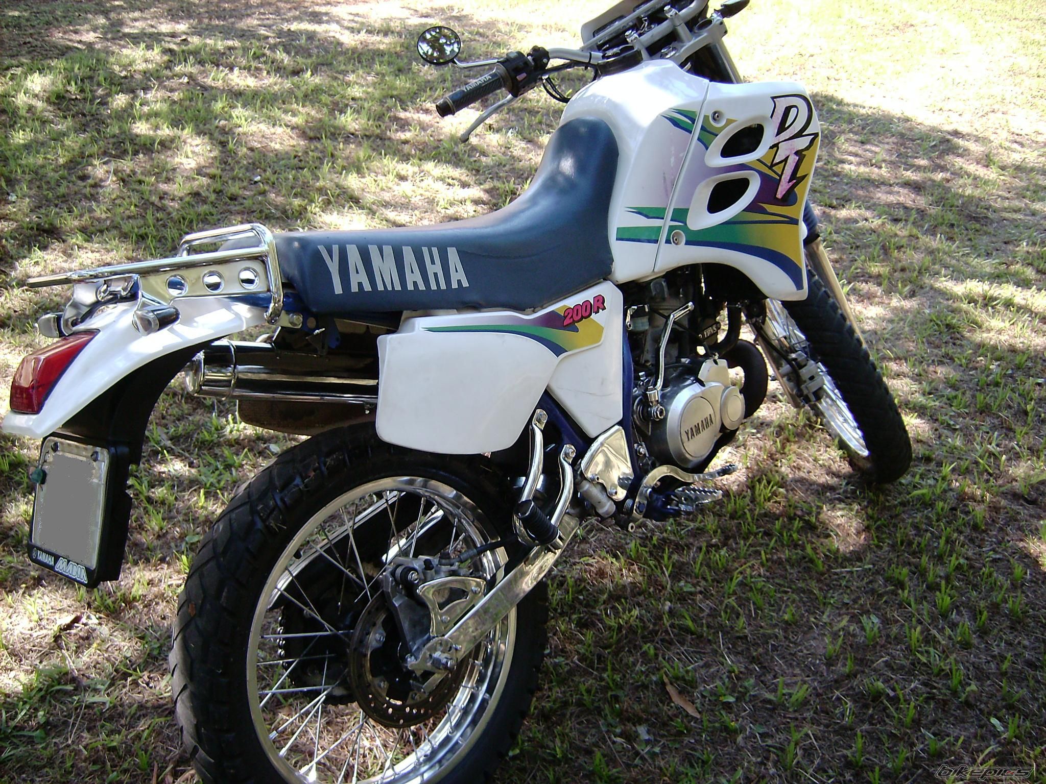 Photo 2010433