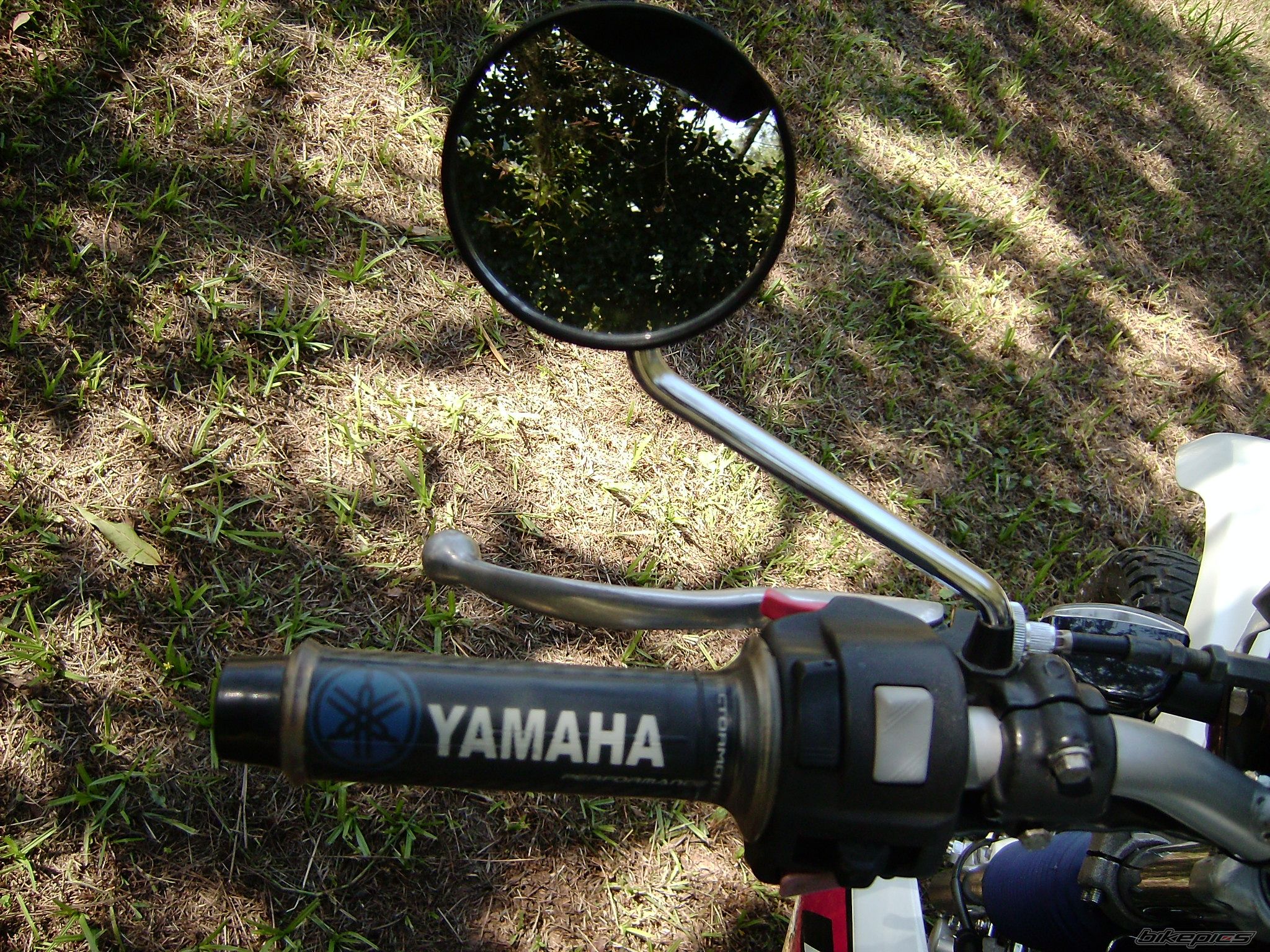 Bike Photo 2010441
