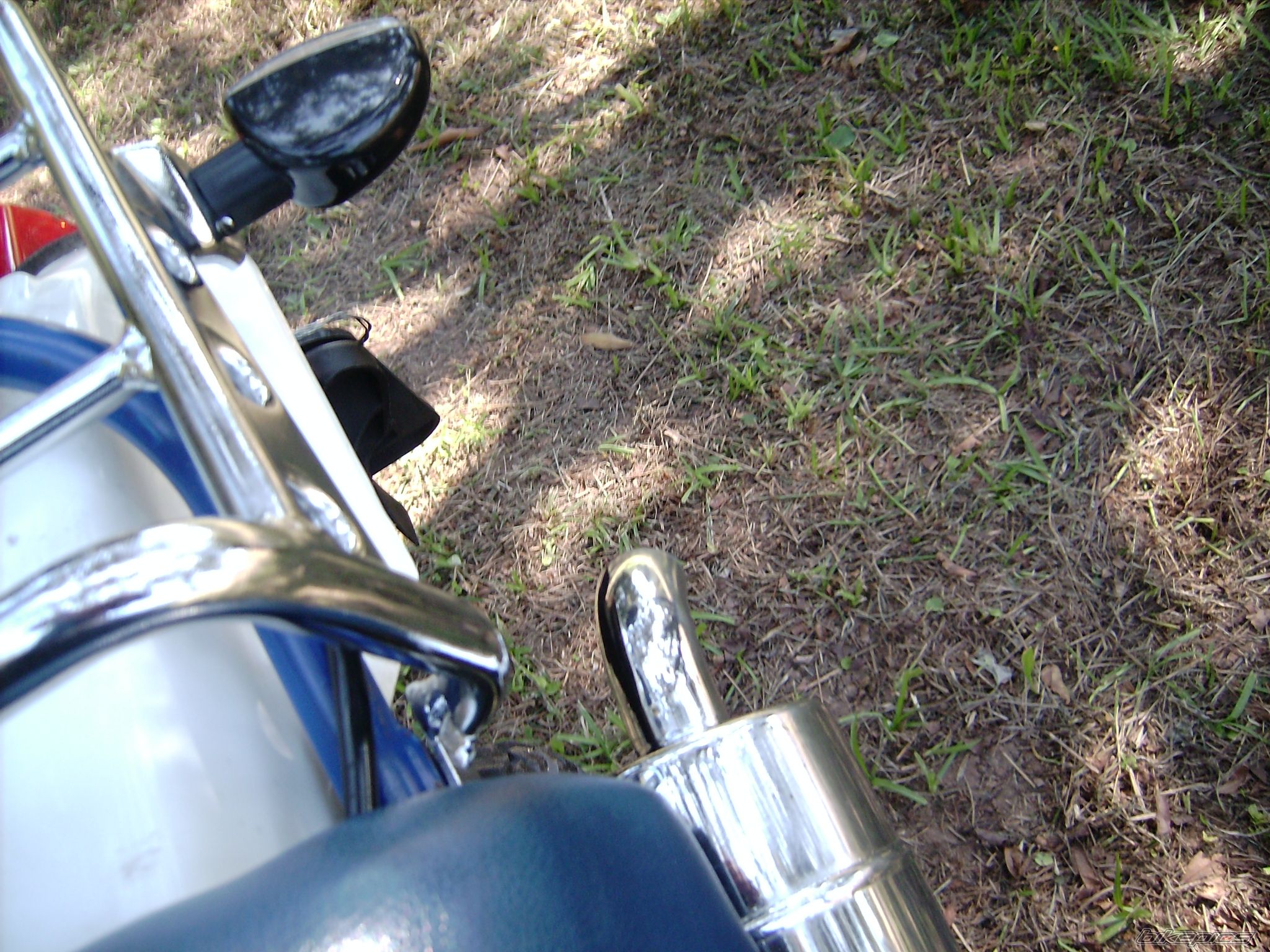 Photo 2010450