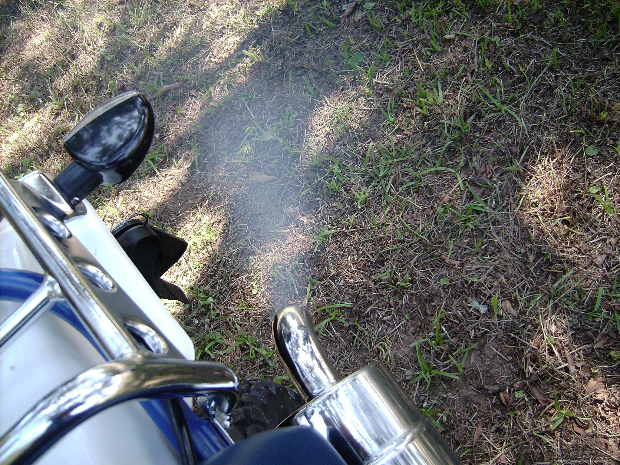 Photo 2010451